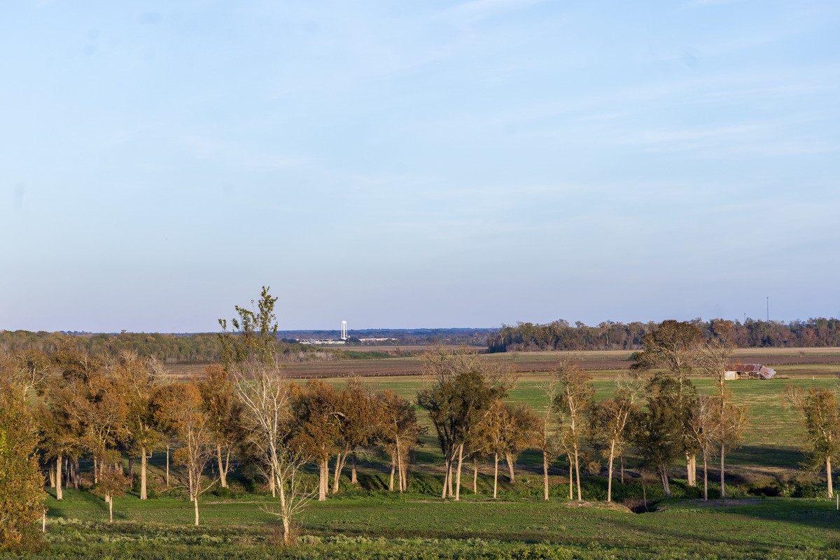 6164 Brazos Bow Way Washington, TX 77880 - Photo 26 of 43 a view of lake with houses