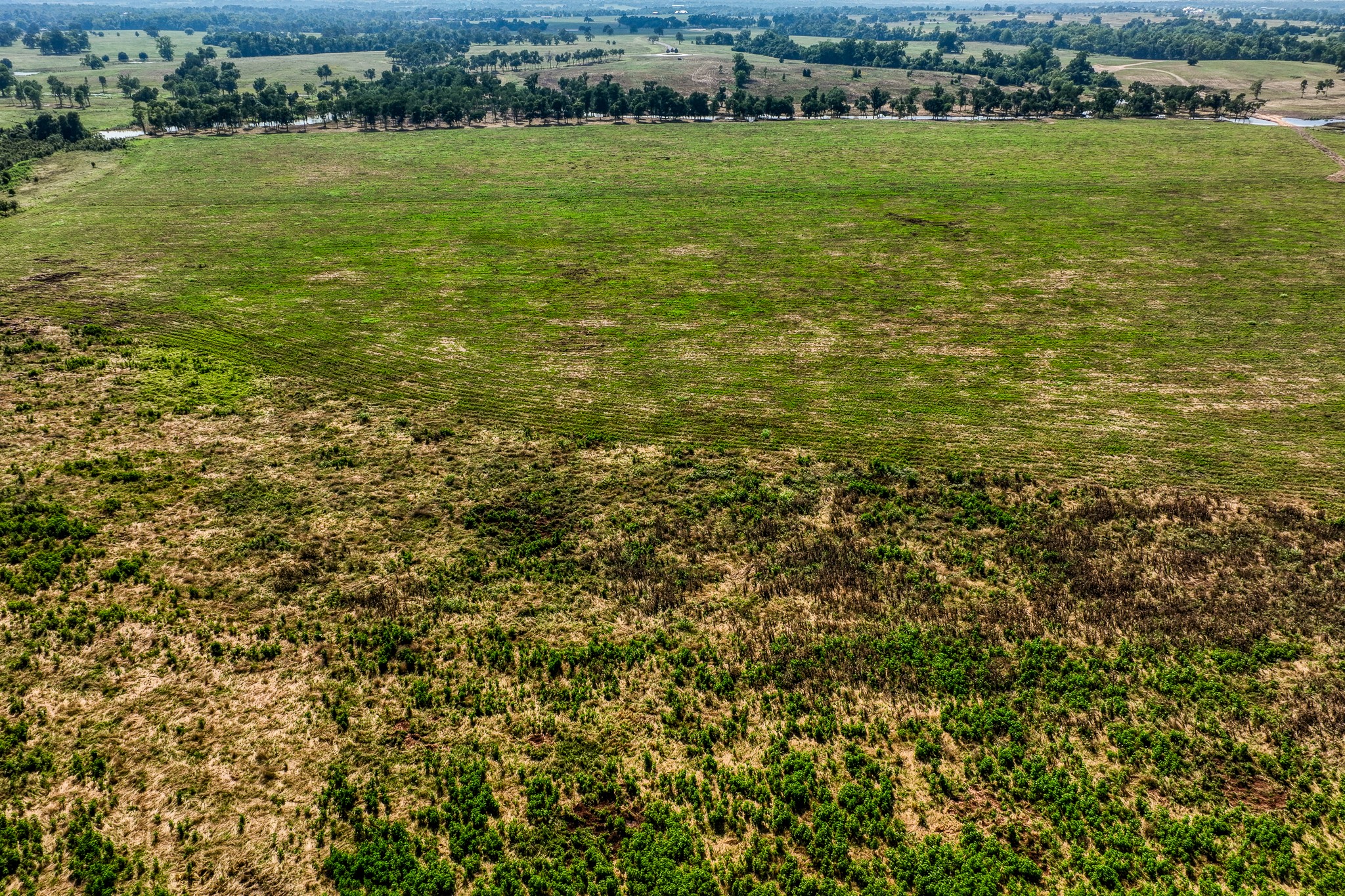 6164 Brazos Bow Way Washington, TX 77880 - Photo 37 of 43 a view of a field with an ocean view
