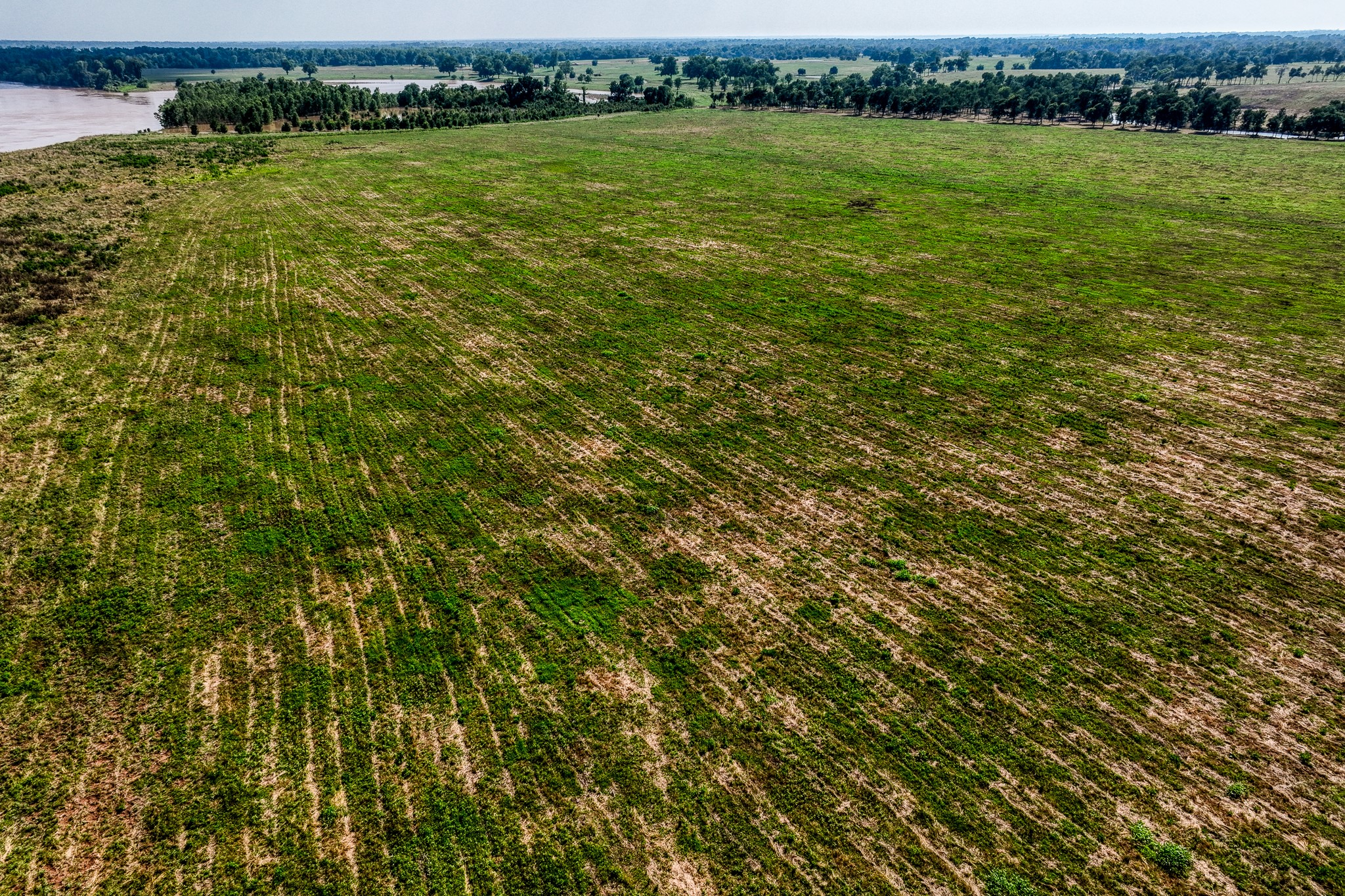 6164 Brazos Bow Way Washington, TX 77880 - Photo 38 of 43 an aerial view of residential houses with outdoor space and trees