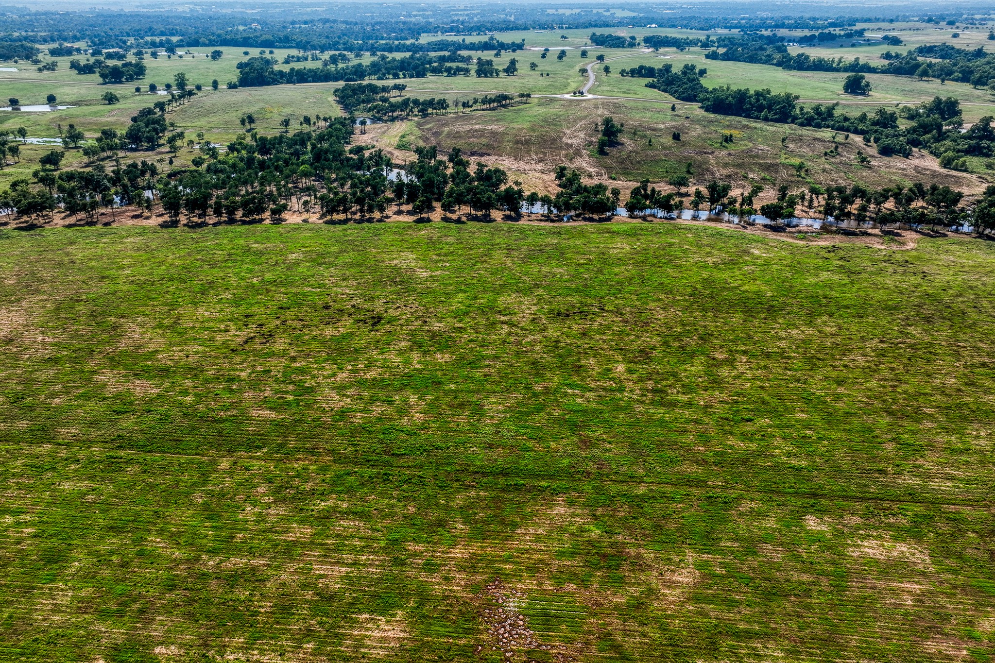 6164 Brazos Bow Way Washington, TX 77880 - Photo 39 of 43 an aerial view of residential houses with outdoor space and trees