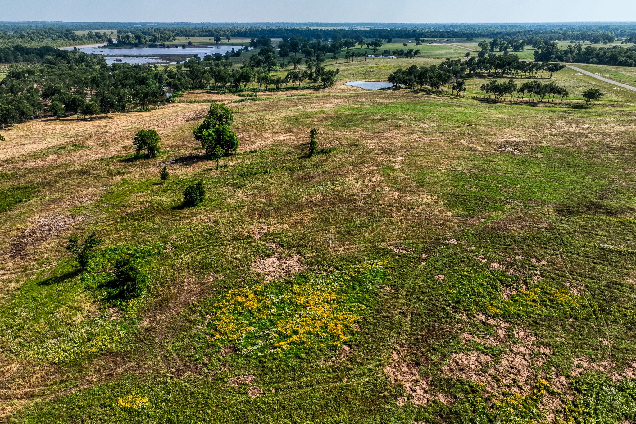 6164 Brazos Bow Way Washington, TX 77880 - Photo 41 of 43 a view of a lake with houses