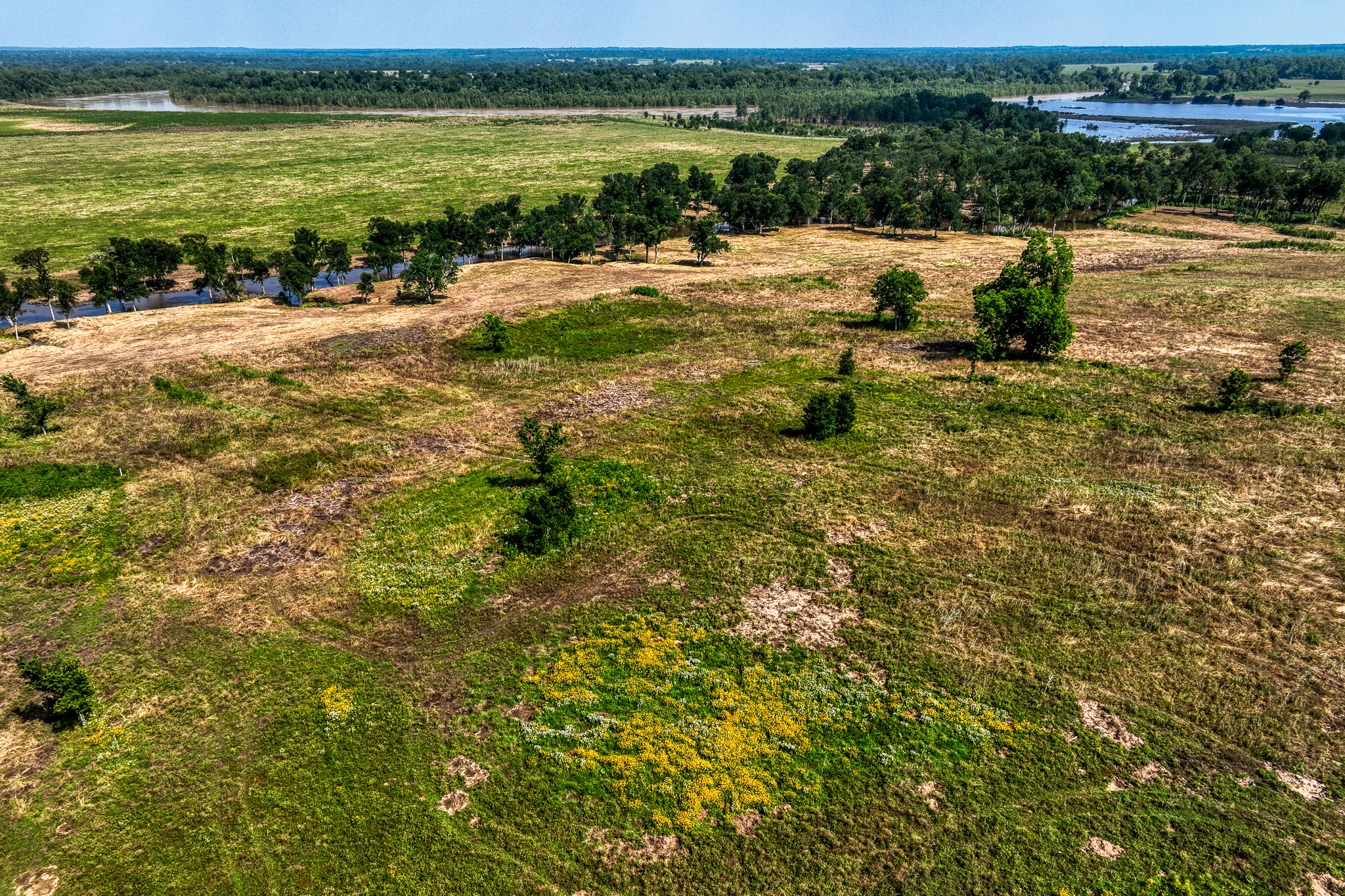 6164 Brazos Bow Way Washington, TX 77880 - Photo 42 of 43 a view of a lake with houses in the background