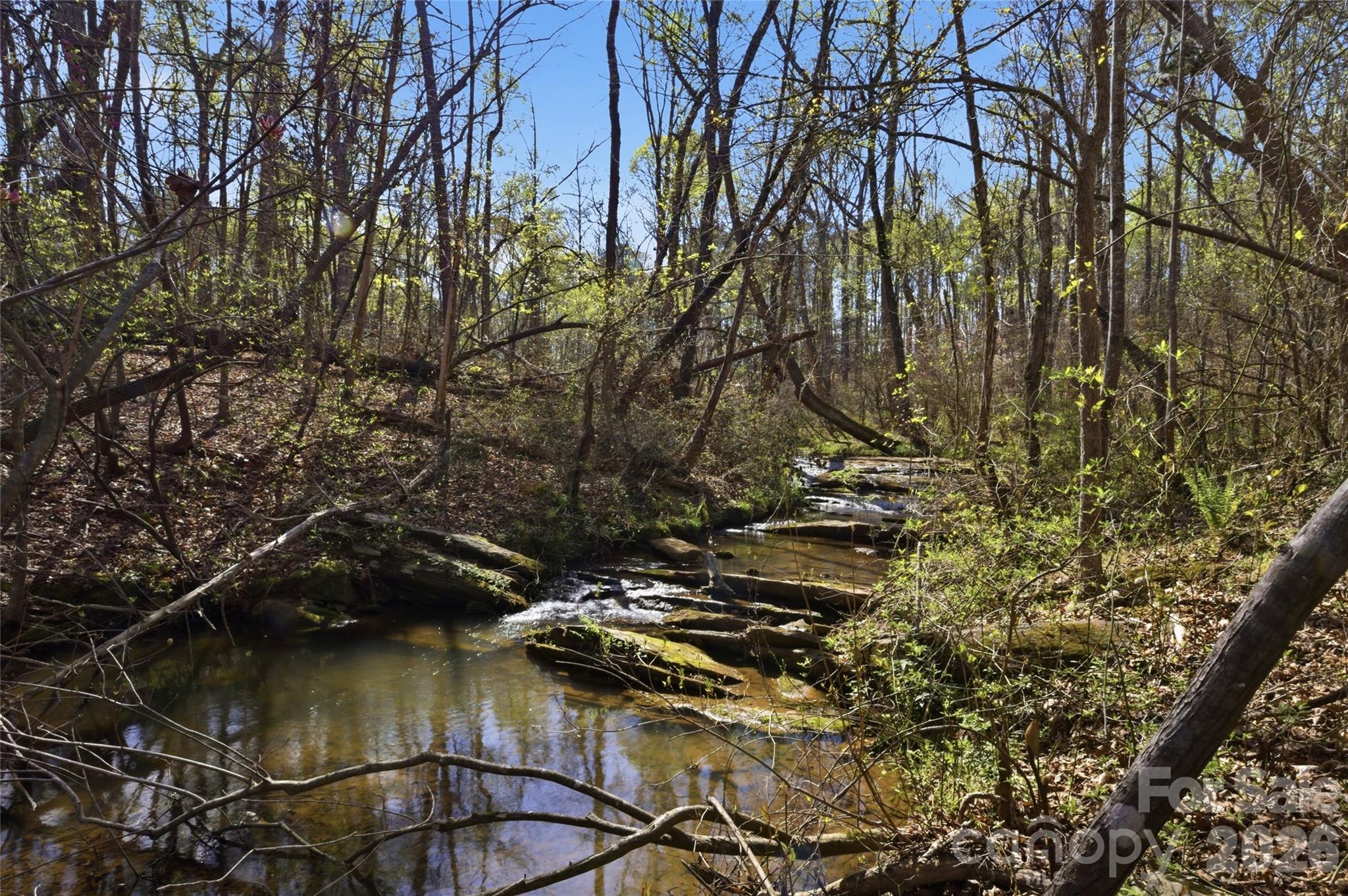 Tbd Alf Hoover Road Lincolnton, NC 28092 - Photo 13 of 18 Gallery Image 13