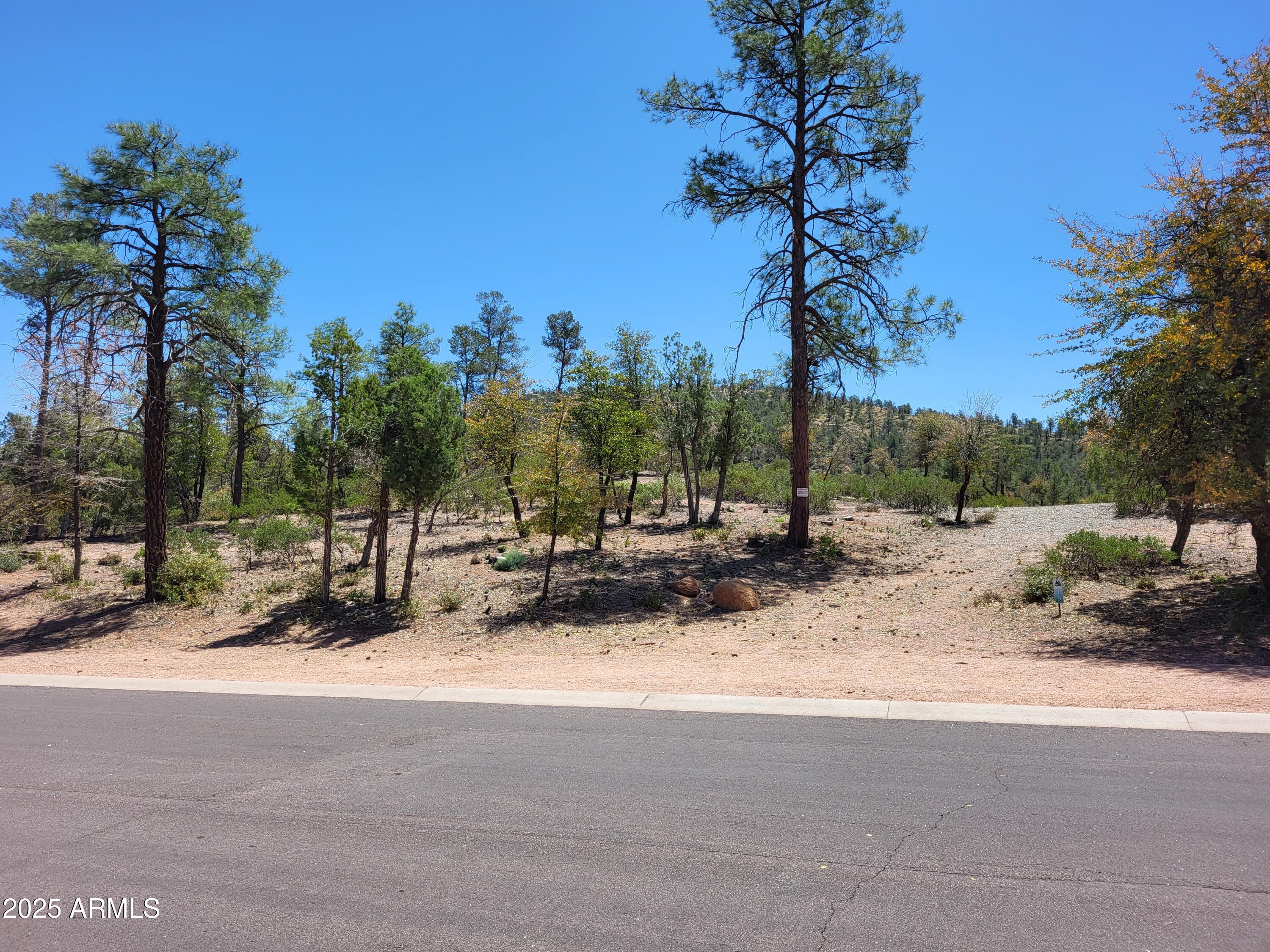 1201 East Phoenix Street, Unit 13 Payson, AZ 85541 - Photo 1 of 9 a row of palm trees sitting in a yard