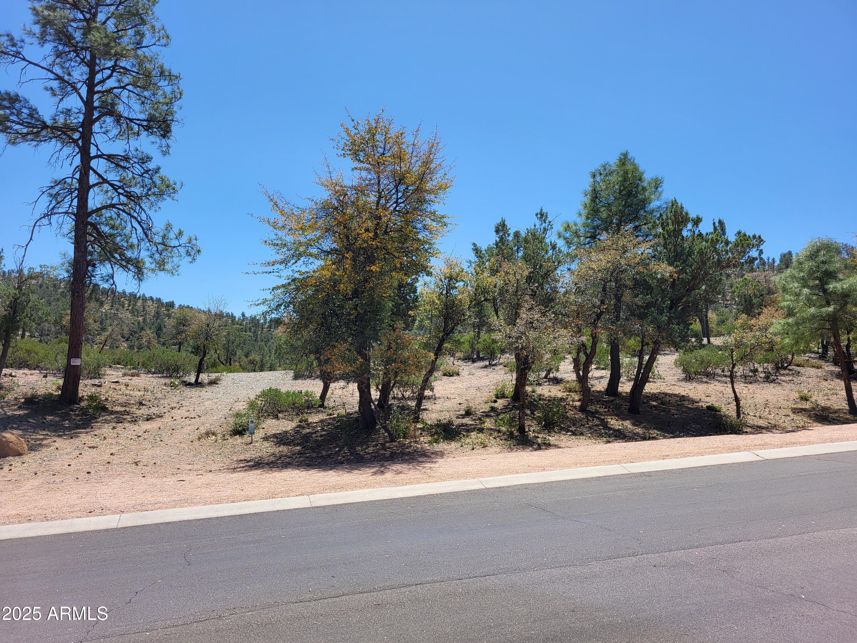 1201 East Phoenix Street, Unit 13 Payson, AZ 85541 - Photo 2 of 9 a view of a yard with a tree