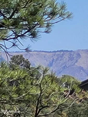a view of a bunch of flowers and trees