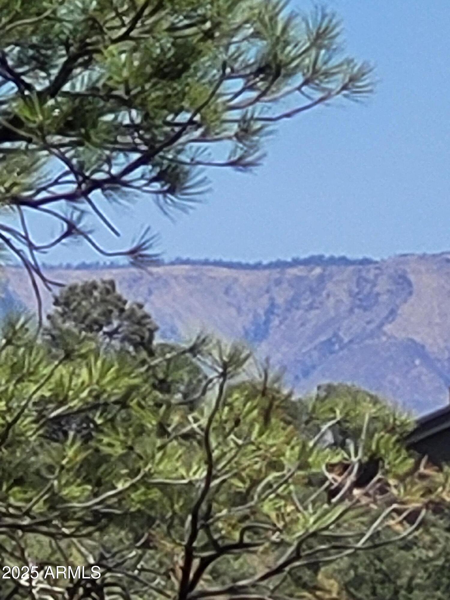 1201 East Phoenix Street, Unit 13 Payson, AZ 85541 - Photo 3 of 9 a view of a bunch of flowers and trees