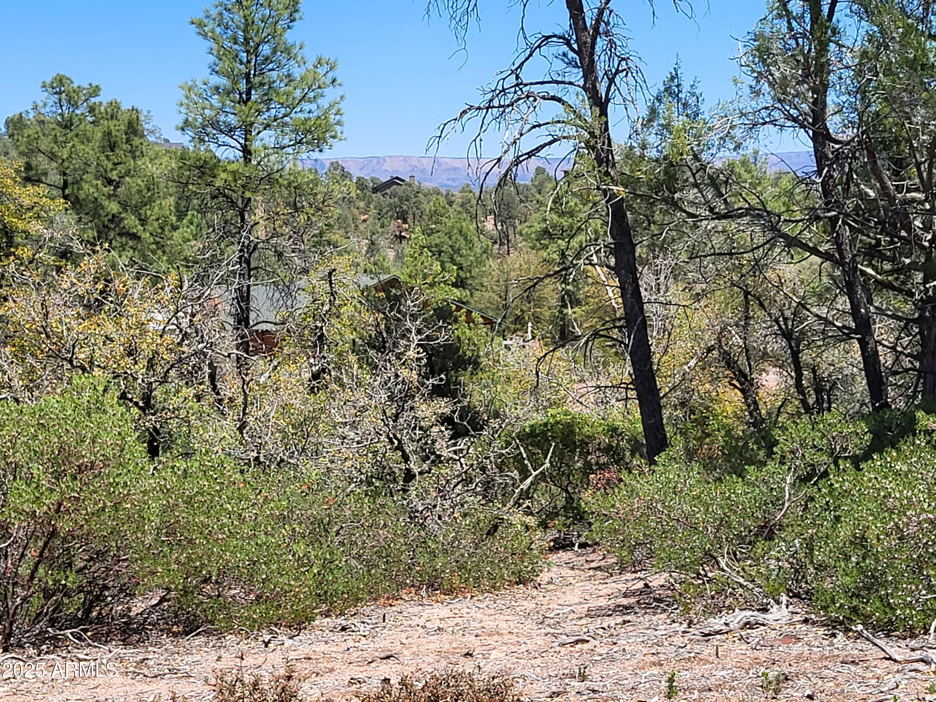 1201 East Phoenix Street, Unit 13 Payson, AZ 85541 - Photo 6 of 9 a big yard with lots of bushes