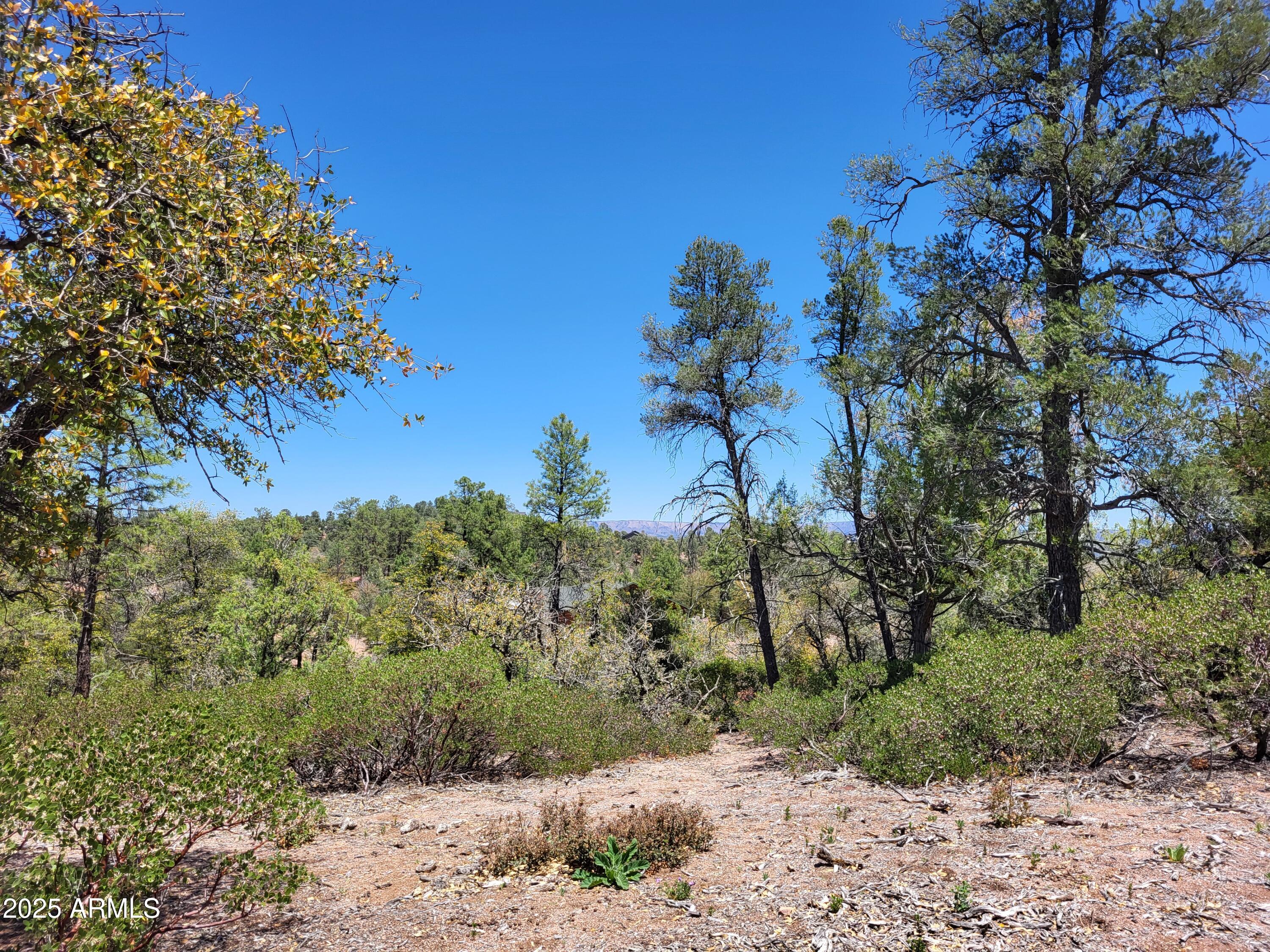 1201 East Phoenix Street, Unit 13 Payson, AZ 85541 - Photo 7 of 9 a view of a yard with a tree