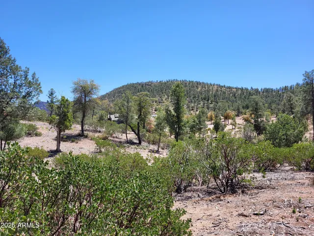 a view of a house with a street lush green forest