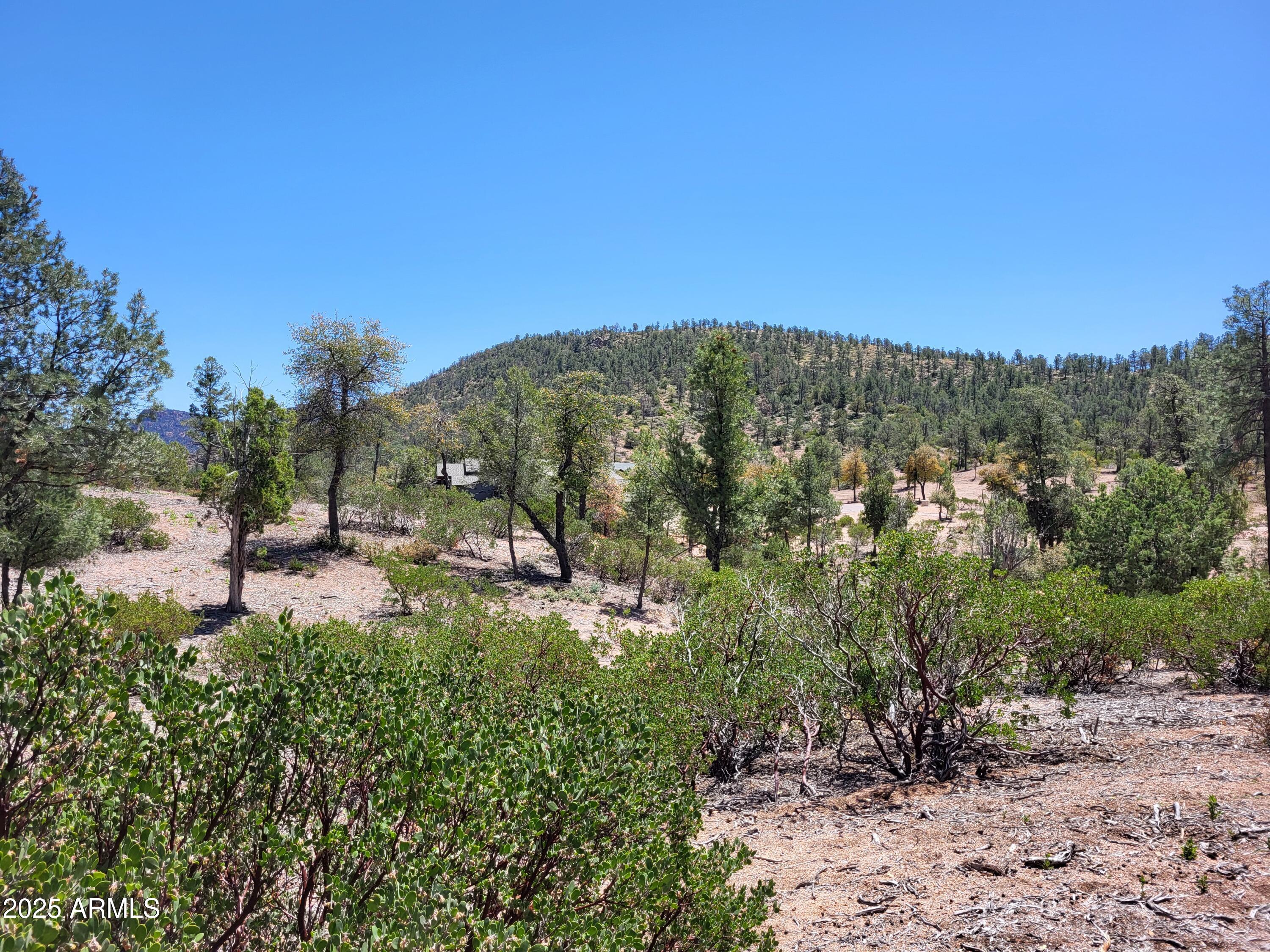 1201 East Phoenix Street, Unit 13 Payson, AZ 85541 - Photo 8 of 9 a view of a house with a street lush green forest
