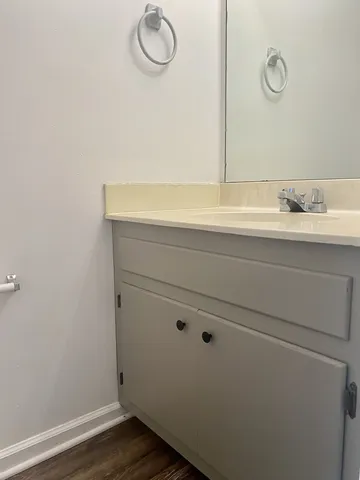 a bathroom with a sink and a mirror