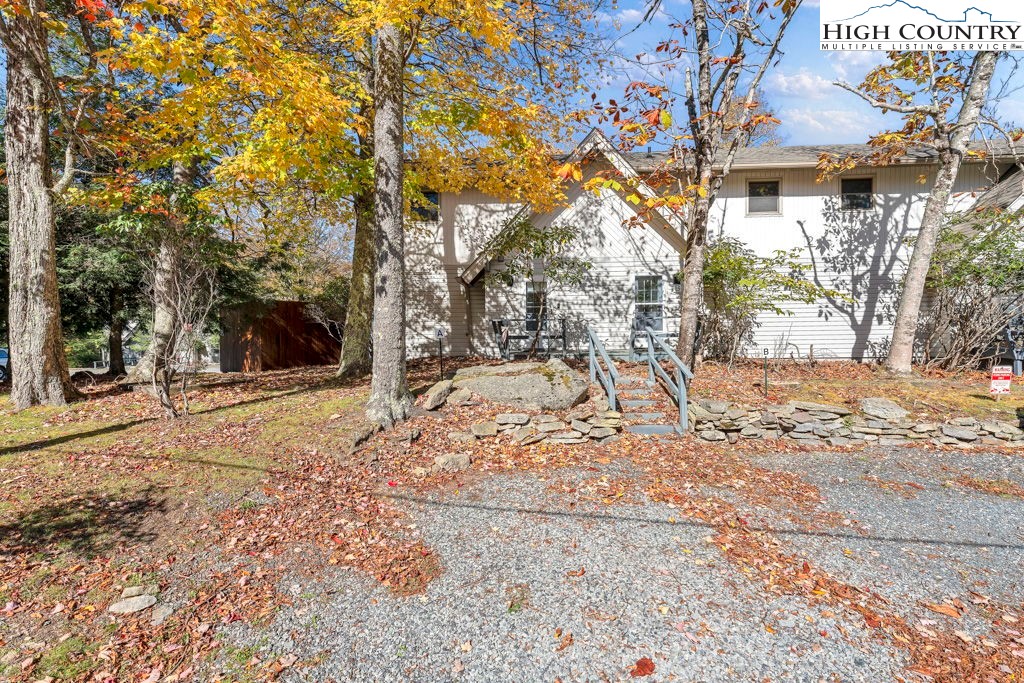 a view of a yard with plants and trees