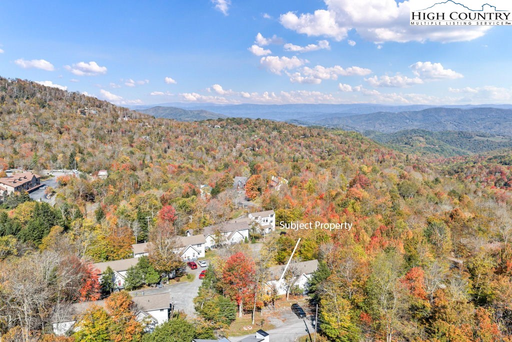 101 Hornbeam Road, Unit 2B Beech Mountain, NC 28604 - Photo 22 of 35