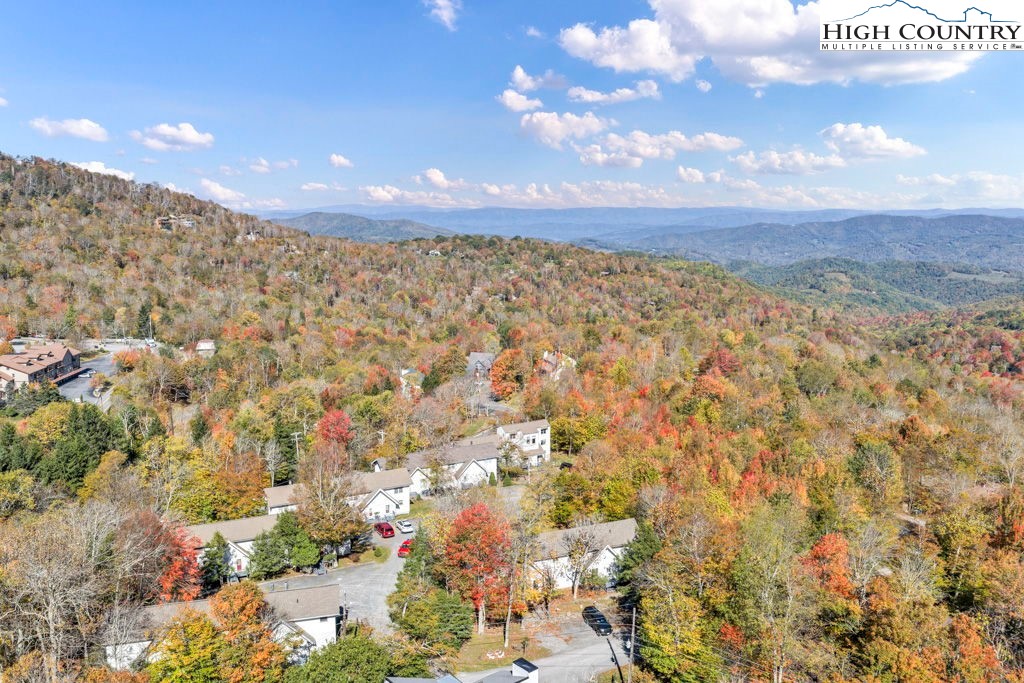 101 Hornbeam Road, Unit 2B Beech Mountain, NC 28604 - Photo 23 of 35