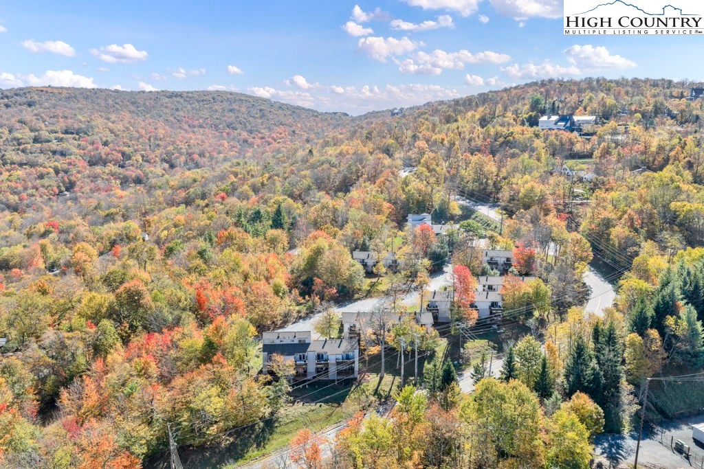 101 Hornbeam Road, Unit 2B Beech Mountain, NC 28604 - Photo 25 of 35 a view of a city
