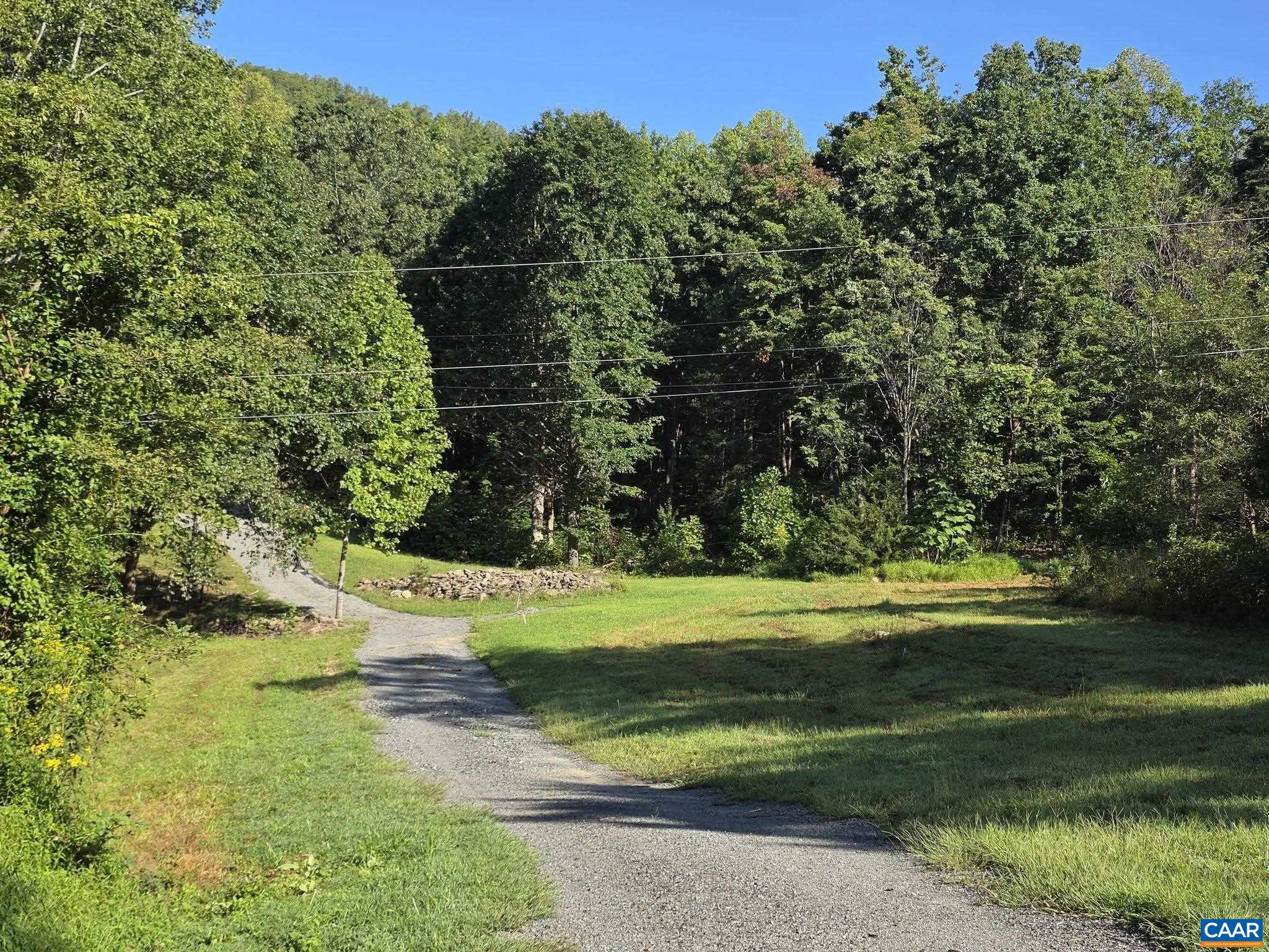Tbd1 Brokenback Mountain Road Dyke, VA 22935 - Photo 11 of 25 Gallery Image 11
