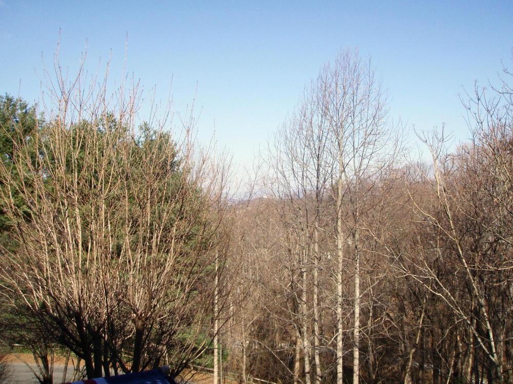 5448 Highfields Road Roanoke, VA 24018 - Photo 2 of 7 View