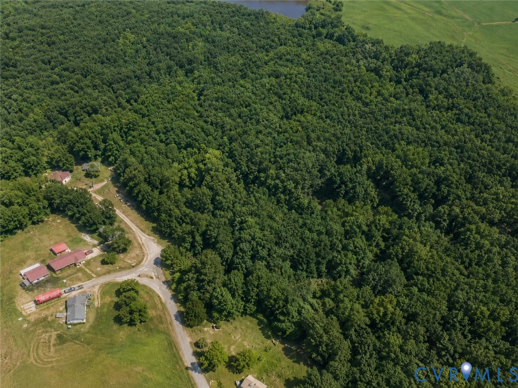 0 Dillard Road Lawrenceville, VA 23868 - Photo 4 of 6 Expansive wooded acreage featuring diverse tree co