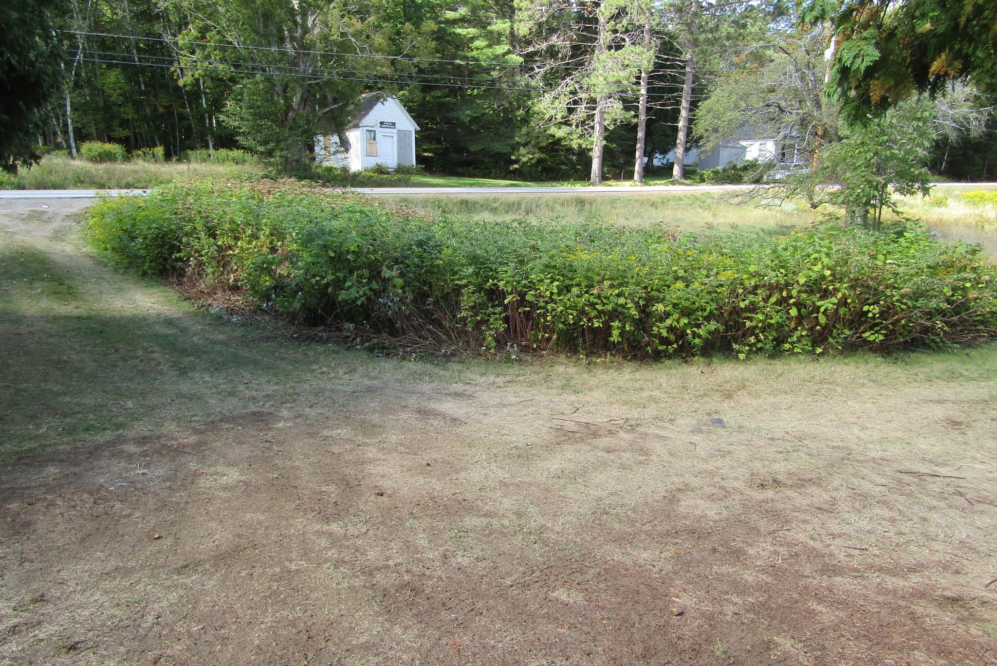 351 Coventry Road Benton, NH 03785 - Photo 9 of 30