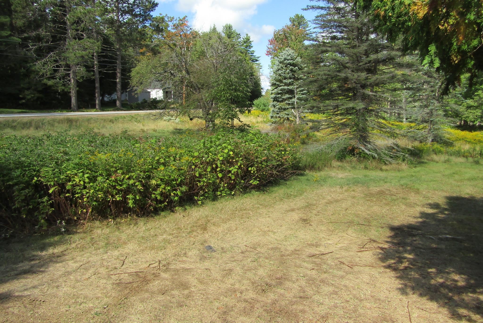 351 Coventry Road Benton, NH 03785 - Photo 10 of 30