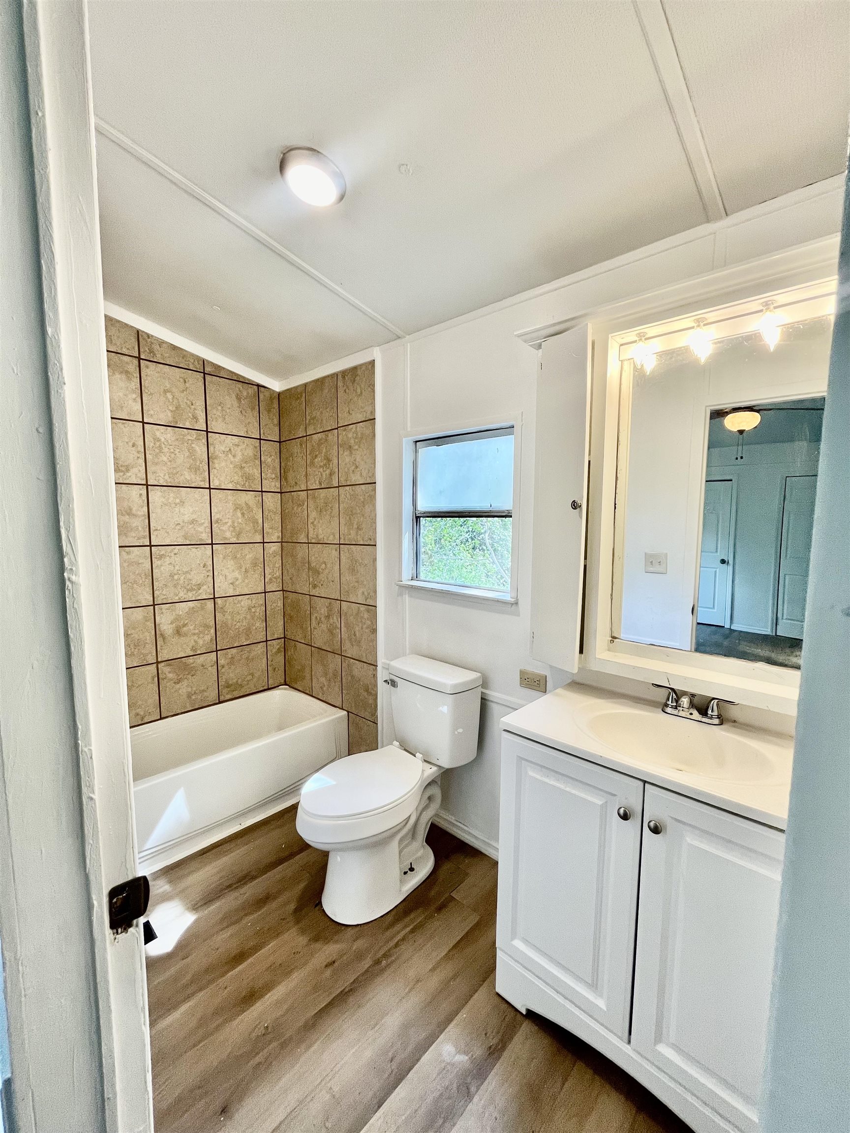 23670 Northeast 154th Place Road Salt Springs, FL 32134 - Photo 26 of 65 a bathroom with a sink a toilet a mirror a bathtub and shower