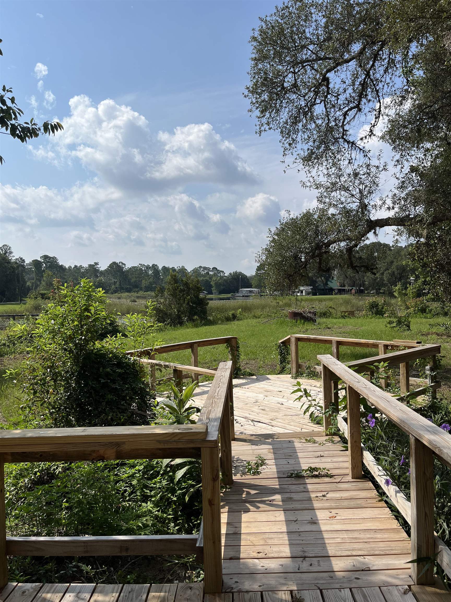 23670 Northeast 154th Place Road Salt Springs, FL 32134 - Photo 33 of 65 a view of a lake with a terrace