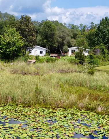 a view of a lake in middle of forest