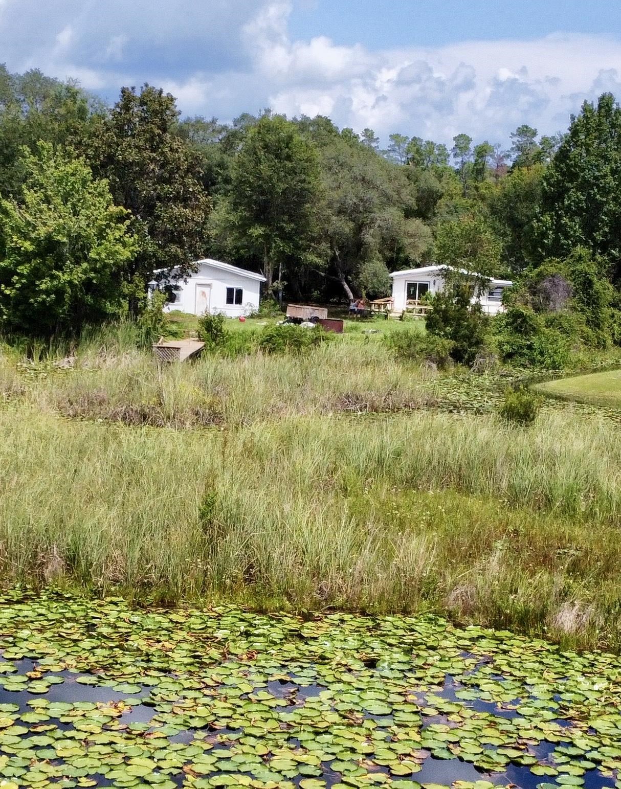 23670 Northeast 154th Place Road Salt Springs, FL 32134 - Photo 42 of 65 a view of a lake with houses