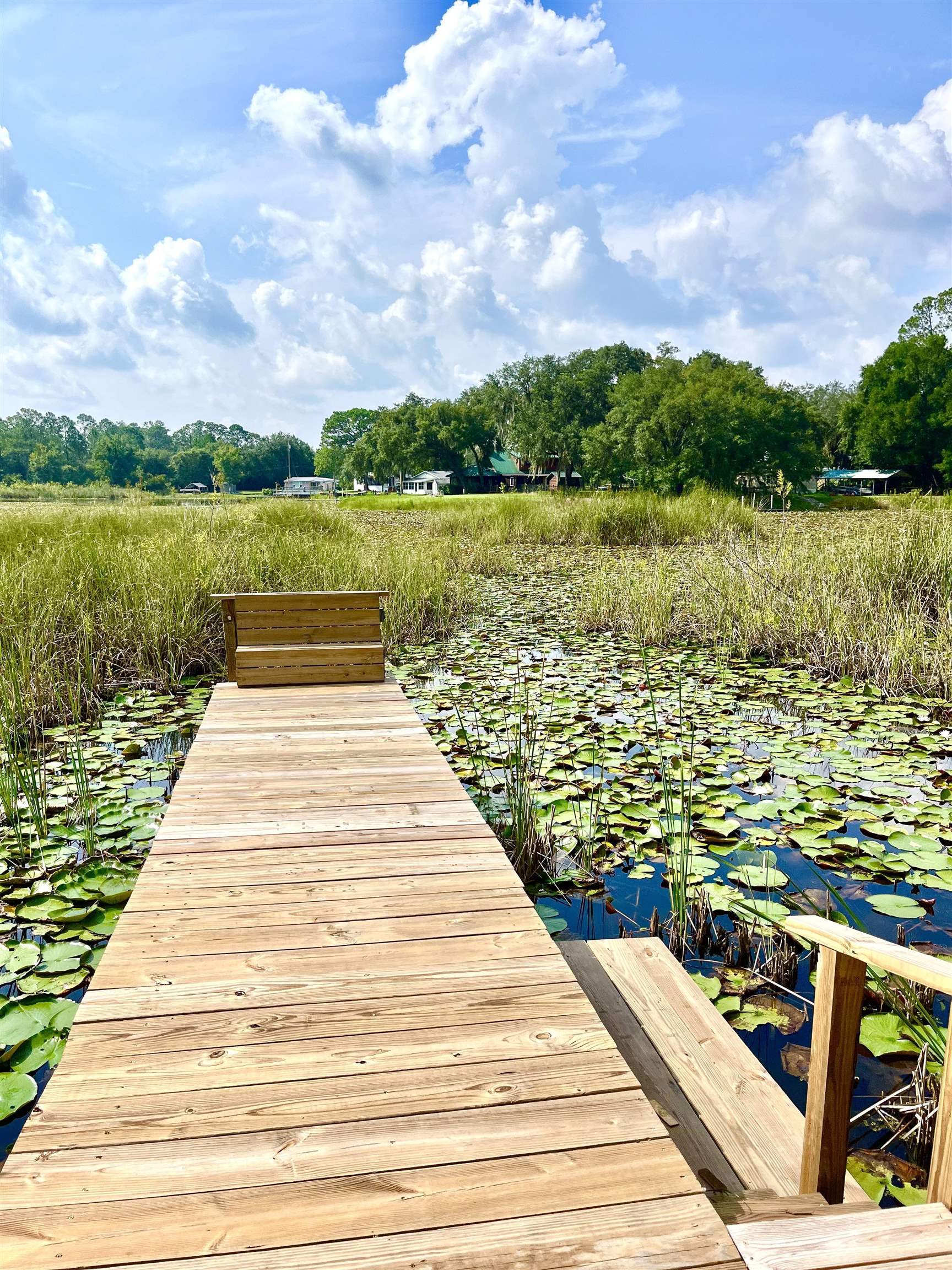 23670 Northeast 154th Place Road Salt Springs, FL 32134 - Photo 43 of 65