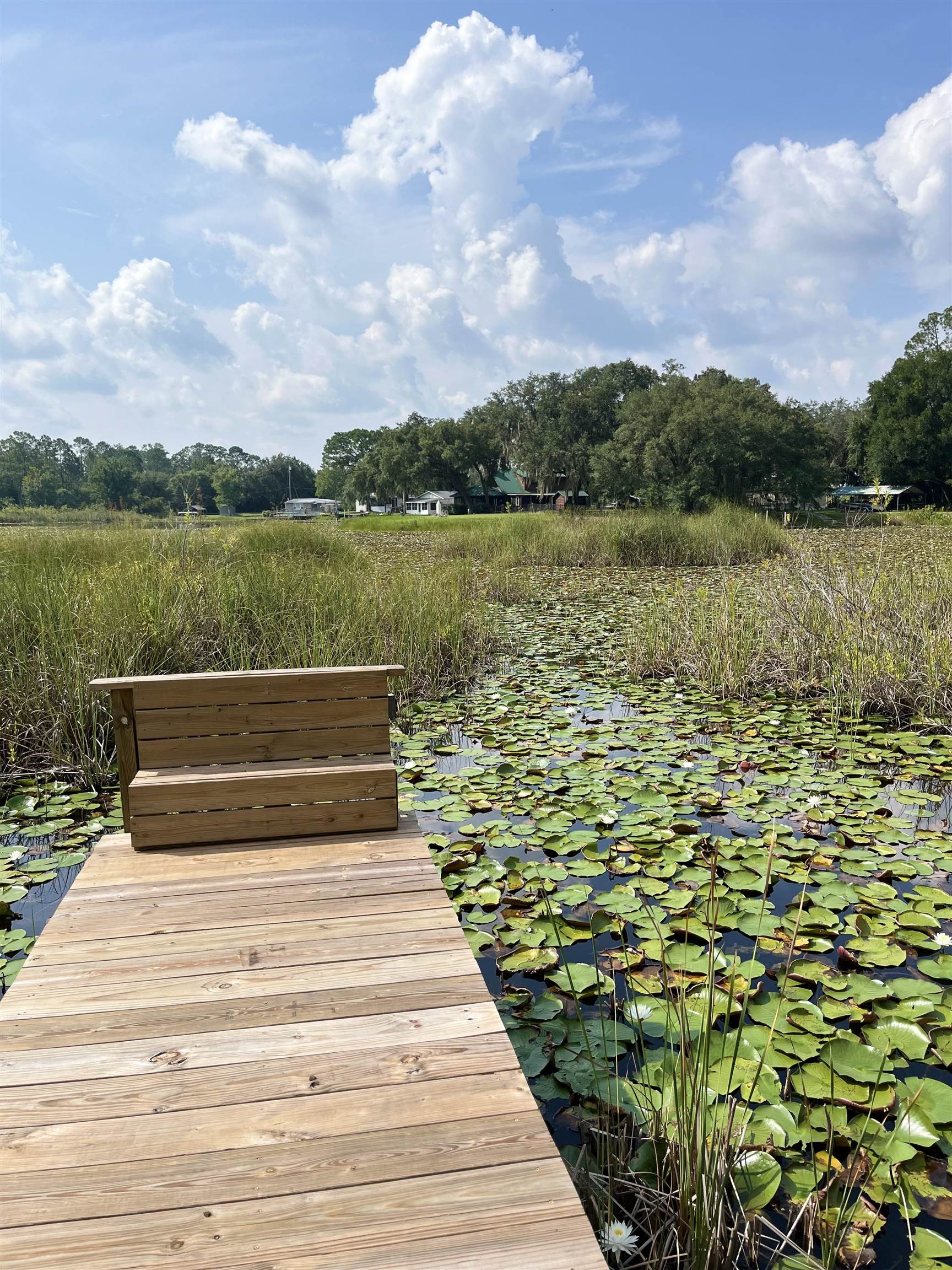 23670 Northeast 154th Place Road Salt Springs, FL 32134 - Photo 44 of 65