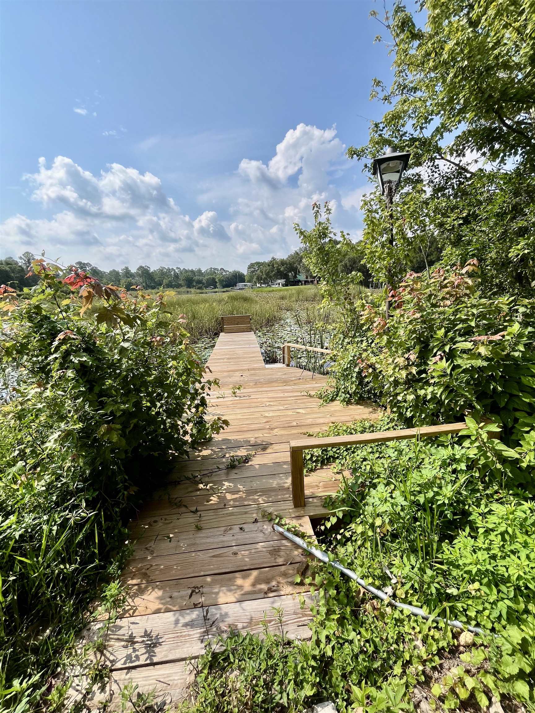 23670 Northeast 154th Place Road Salt Springs, FL 32134 - Photo 45 of 65 a view of a lake