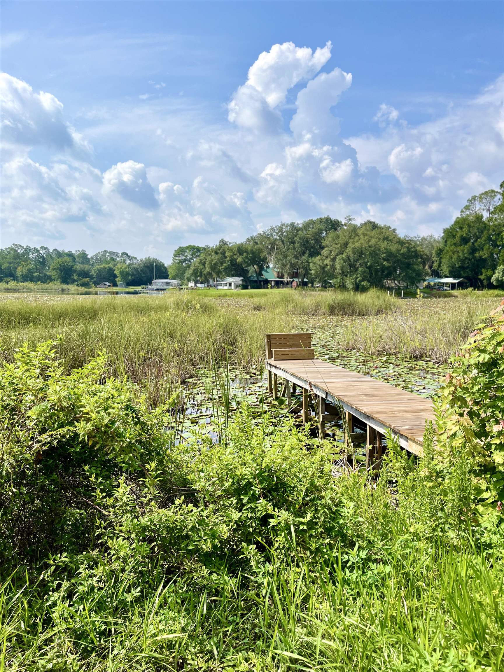 23670 Northeast 154th Place Road Salt Springs, FL 32134 - Photo 46 of 65 a view of a lake with a house in the background