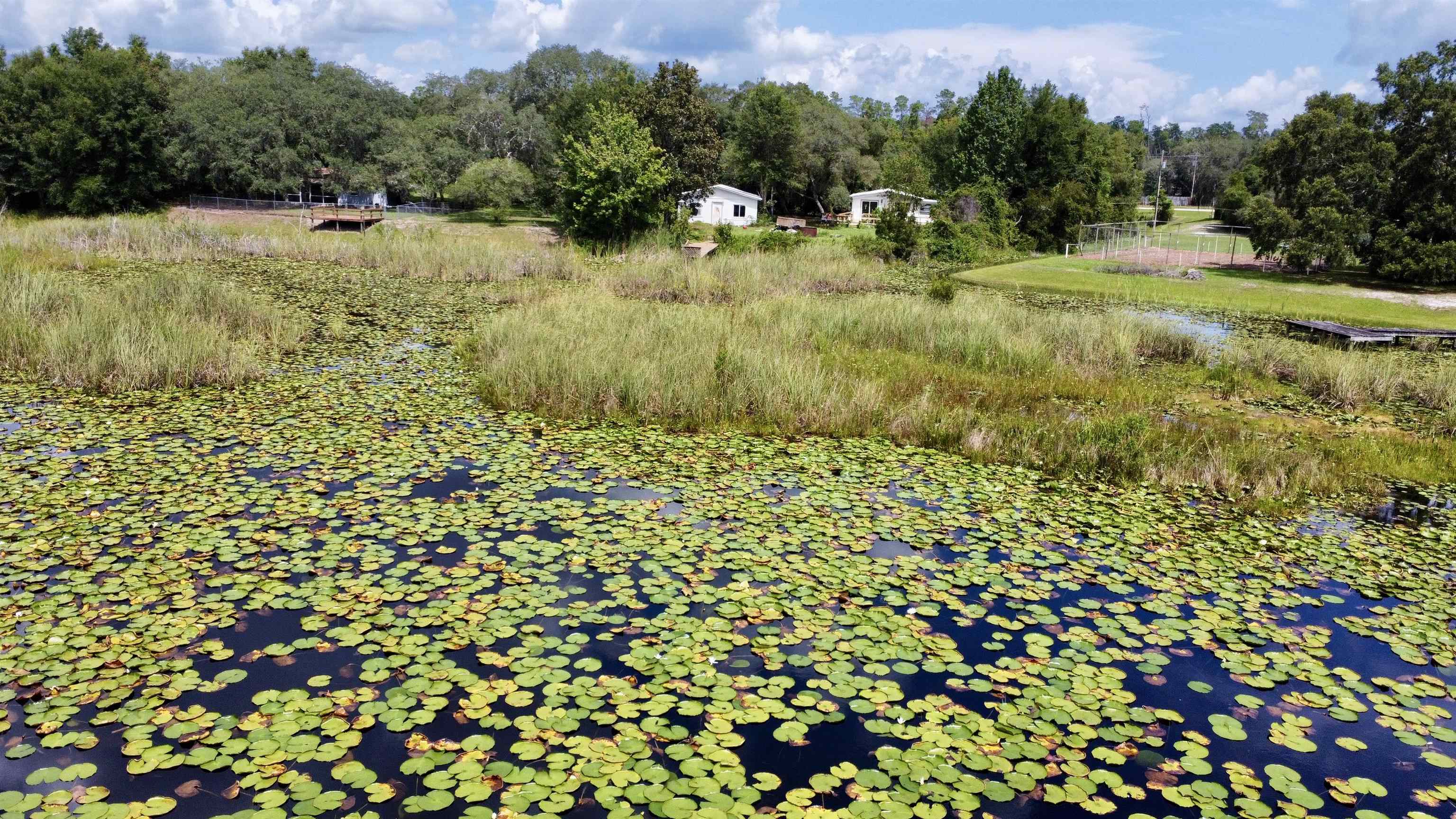 23670 Northeast 154th Place Road Salt Springs, FL 32134 - Photo 47 of 65