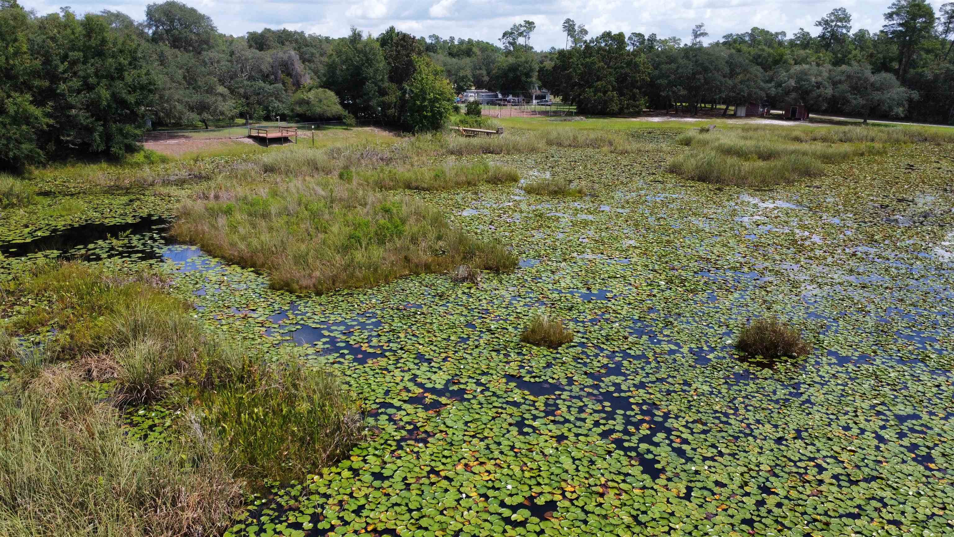 23670 Northeast 154th Place Road Salt Springs, FL 32134 - Photo 49 of 65 a view of an outdoor space and a yard