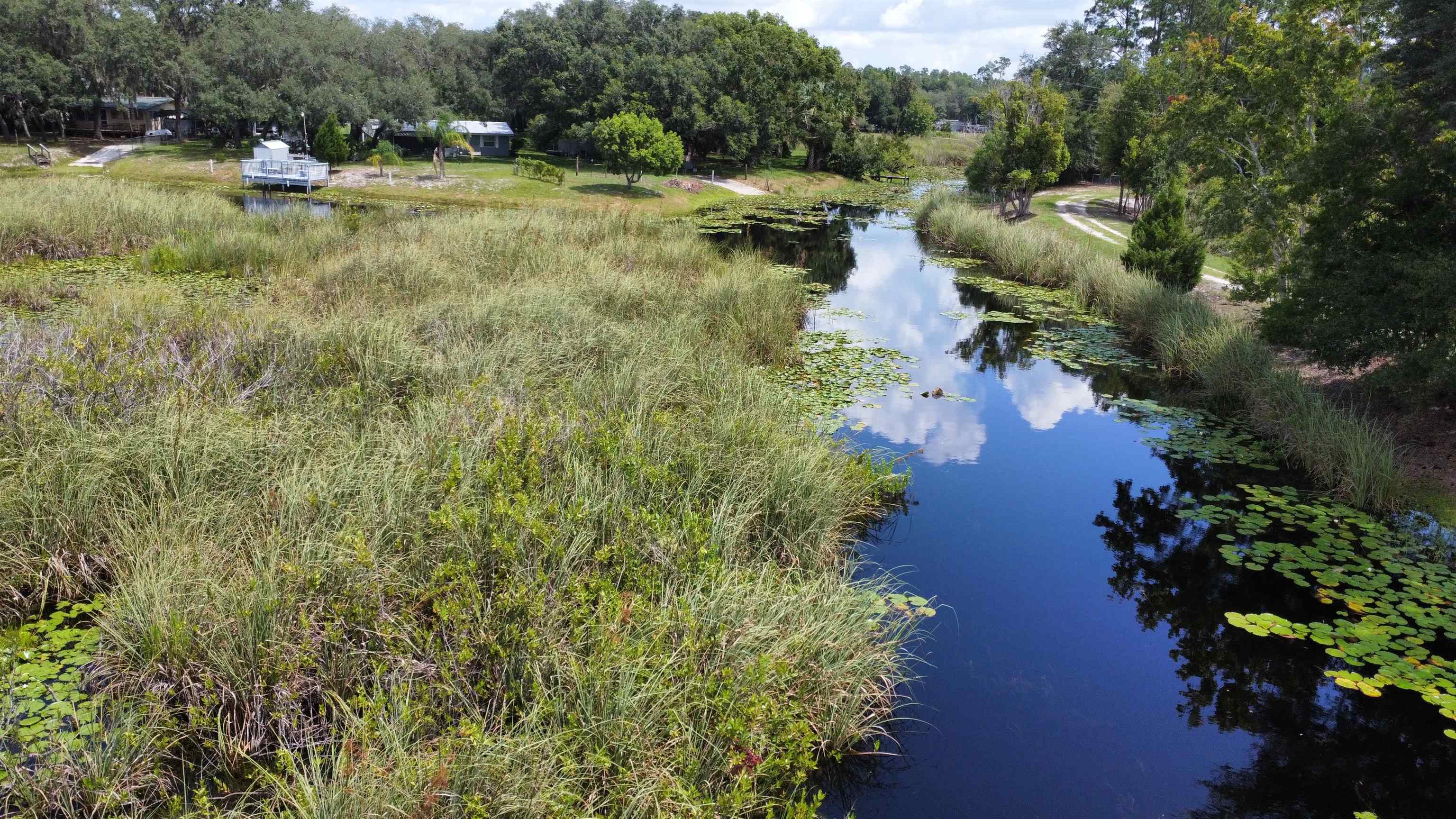 23670 Northeast 154th Place Road Salt Springs, FL 32134 - Photo 50 of 65 a view of a lake with outdoor space