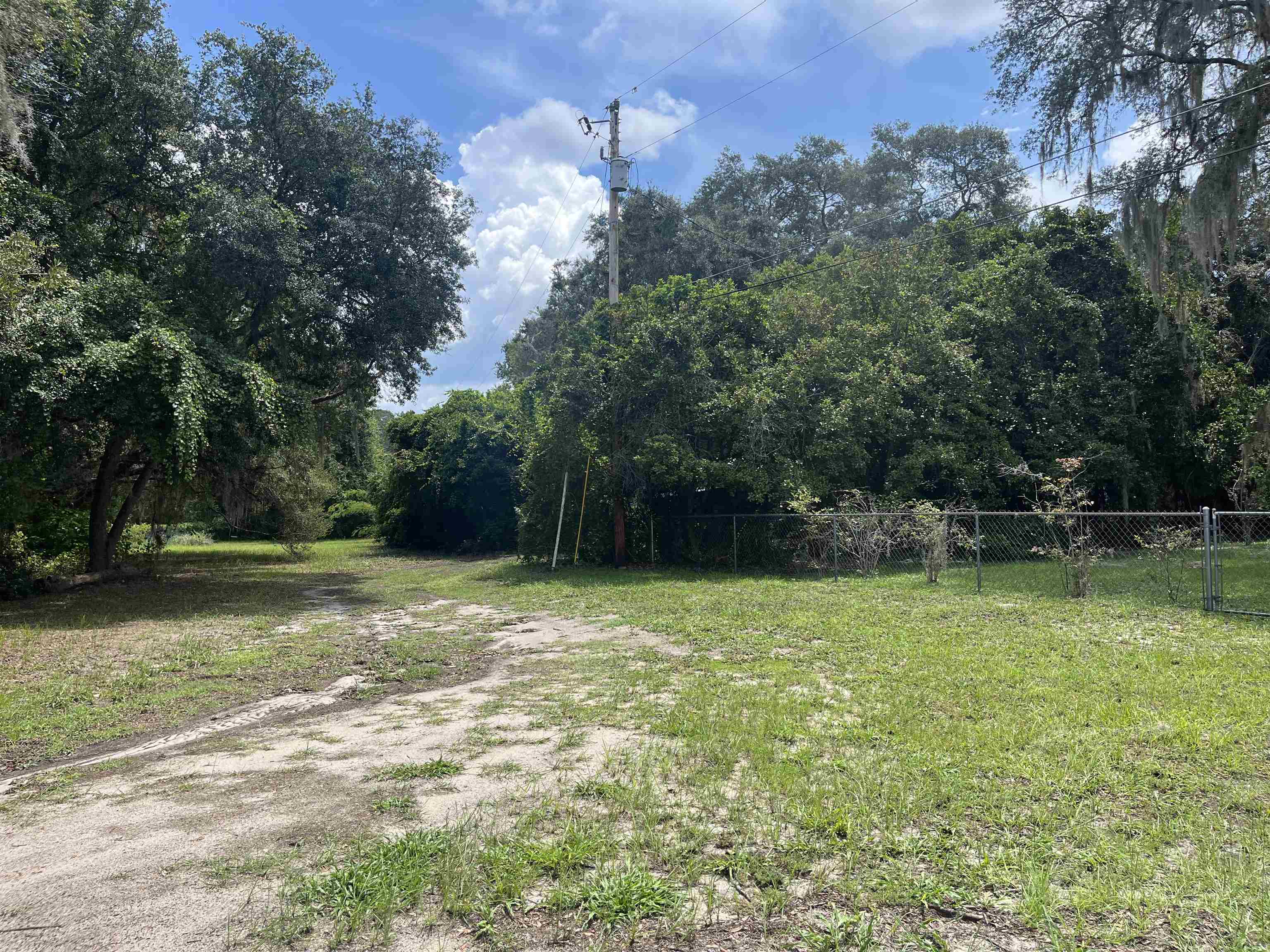 23670 Northeast 154th Place Road Salt Springs, FL 32134 - Photo 5 of 65 a view of a backyard with green space