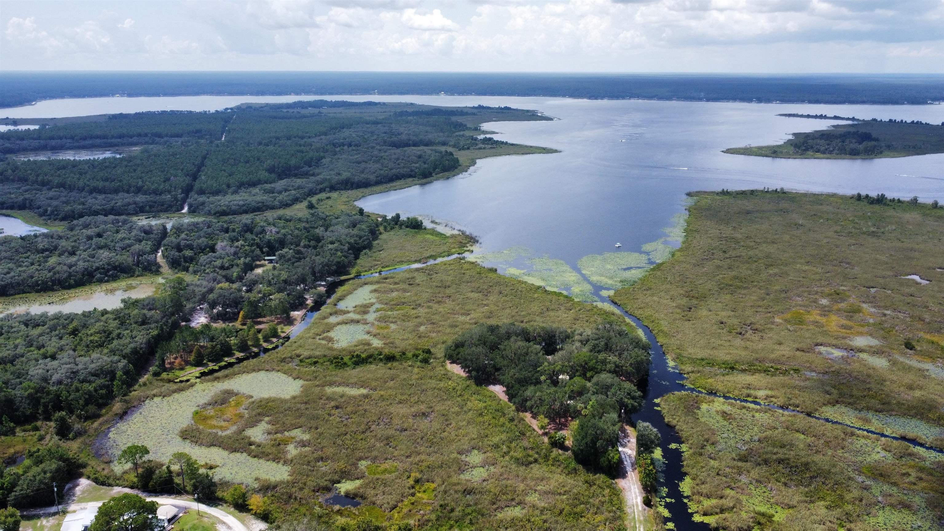 23670 Northeast 154th Place Road Salt Springs, FL 32134 - Photo 53 of 65 a view of a lake in middle of forest