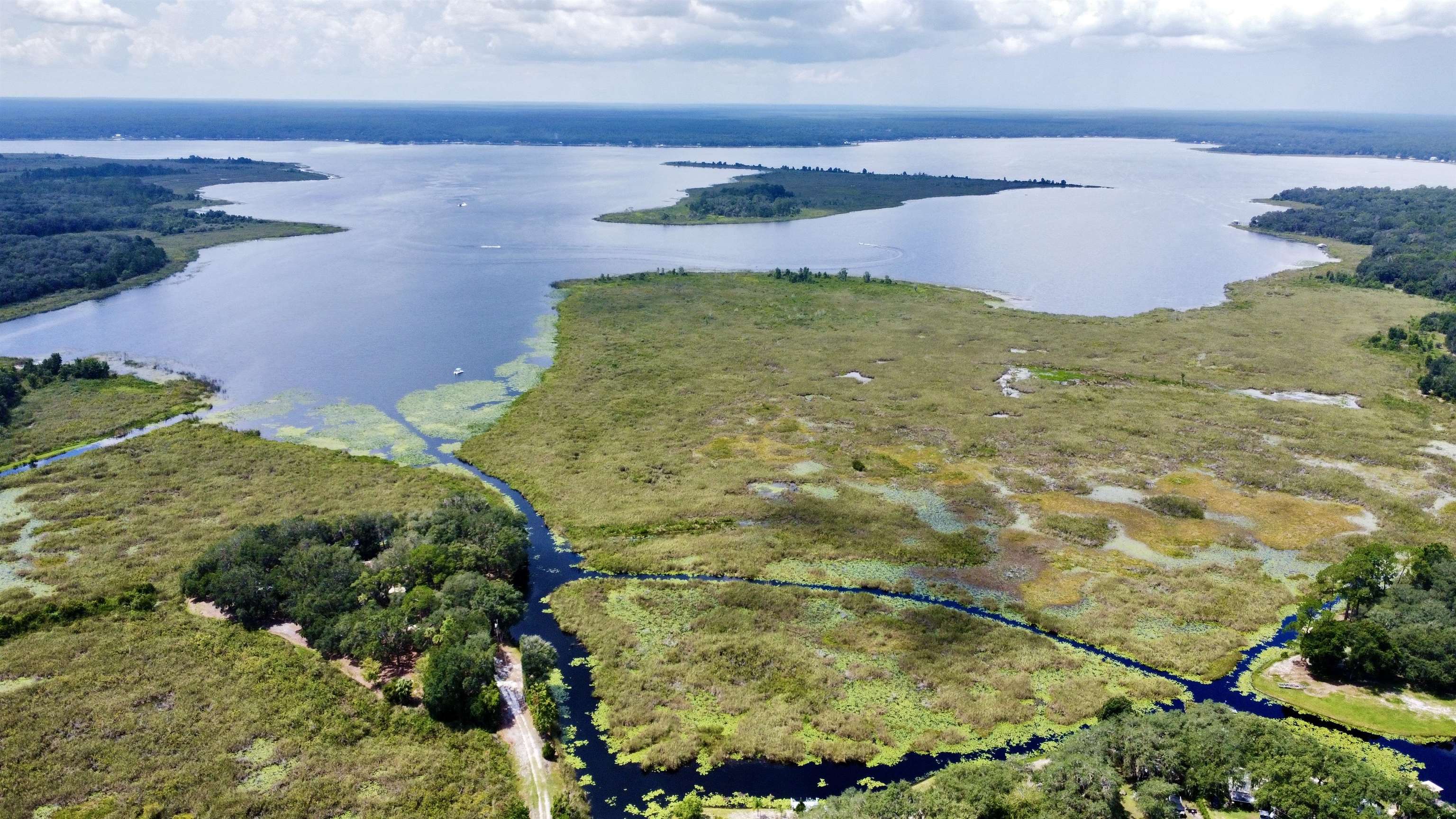 23670 Northeast 154th Place Road Salt Springs, FL 32134 - Photo 54 of 65