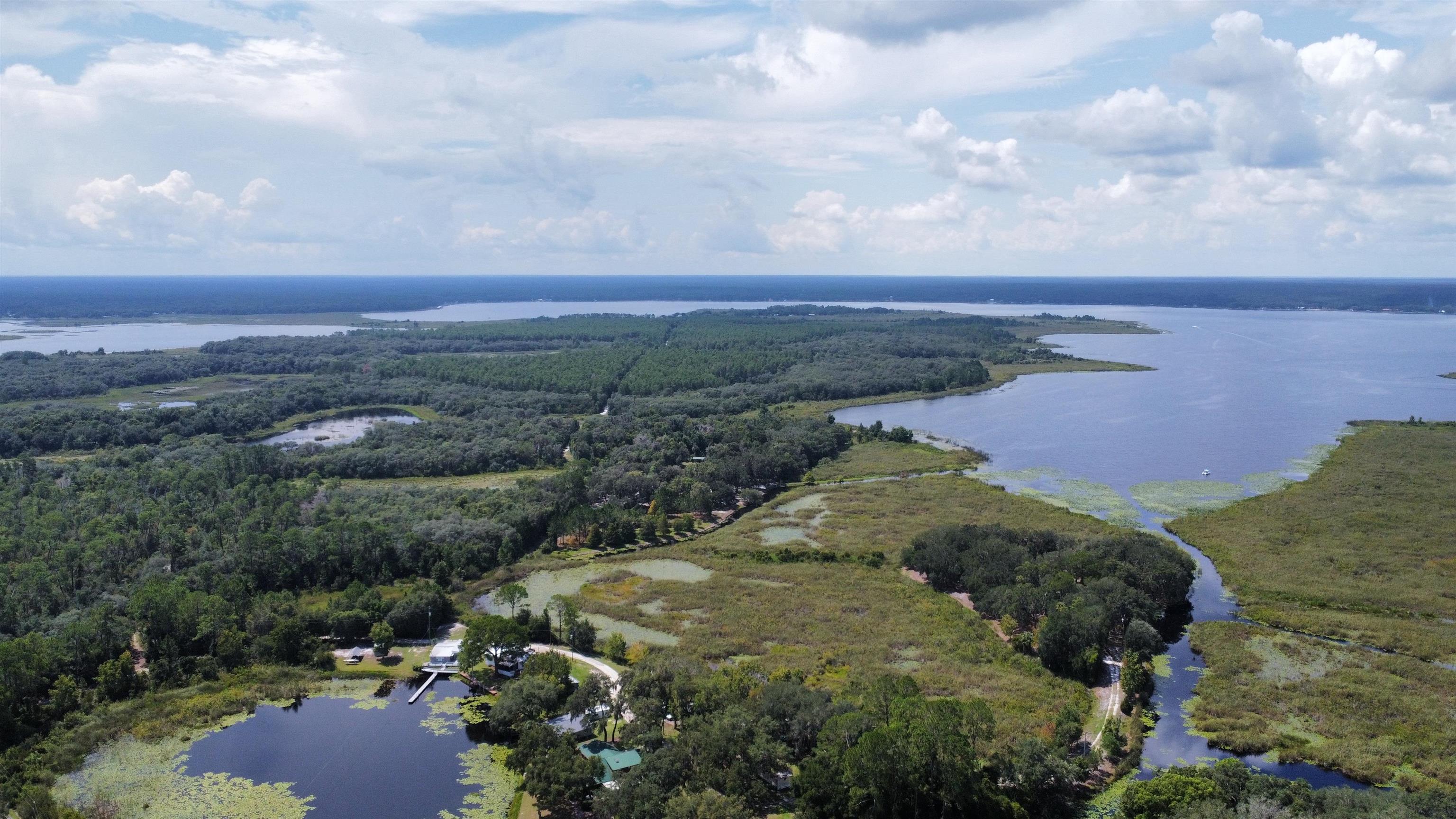 23670 Northeast 154th Place Road Salt Springs, FL 32134 - Photo 56 of 65 a view of a lake with mountains in the background