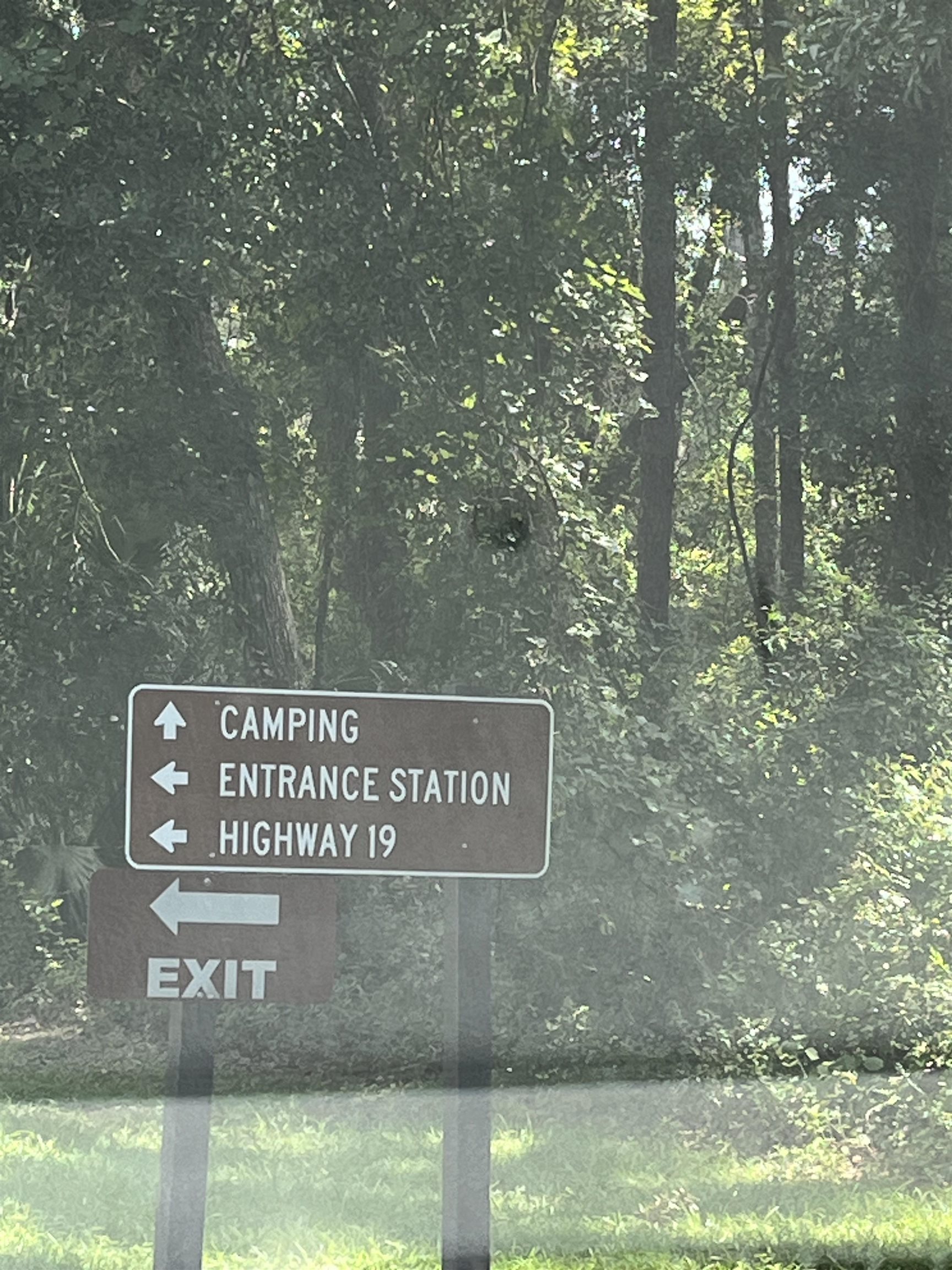 23670 Northeast 154th Place Road Salt Springs, FL 32134 - Photo 58 of 65 a view of outdoor space