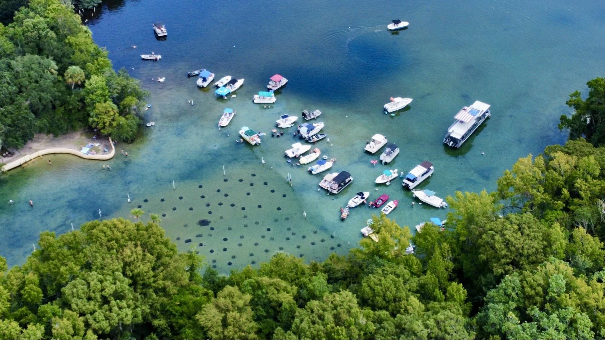 23670 Northeast 154th Place Road Salt Springs, FL 32134 - Photo 59 of 65 Salt spring just 5 mins away from the property