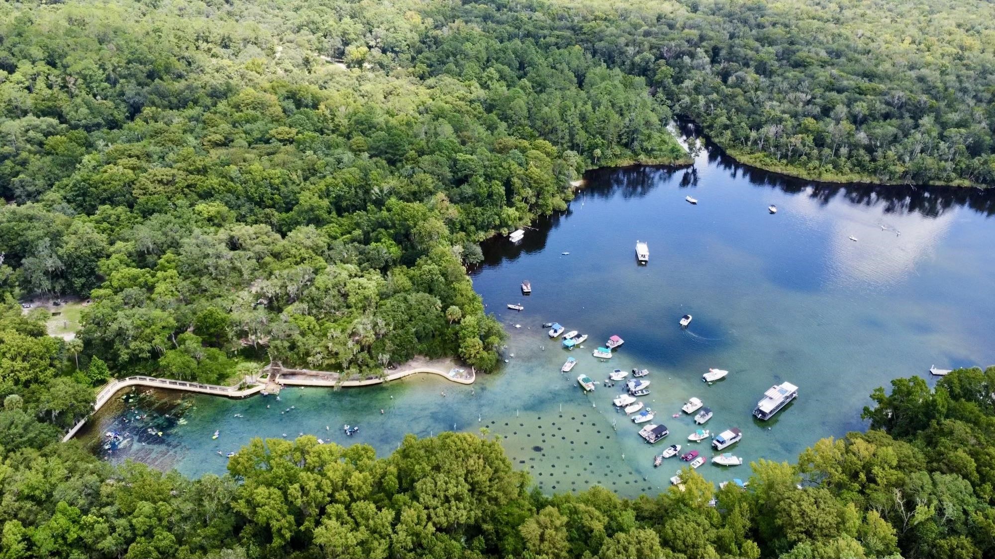 23670 Northeast 154th Place Road Salt Springs, FL 32134 - Photo 60 of 65 an aerial view of a house with yard swimming pool and outdoor seating