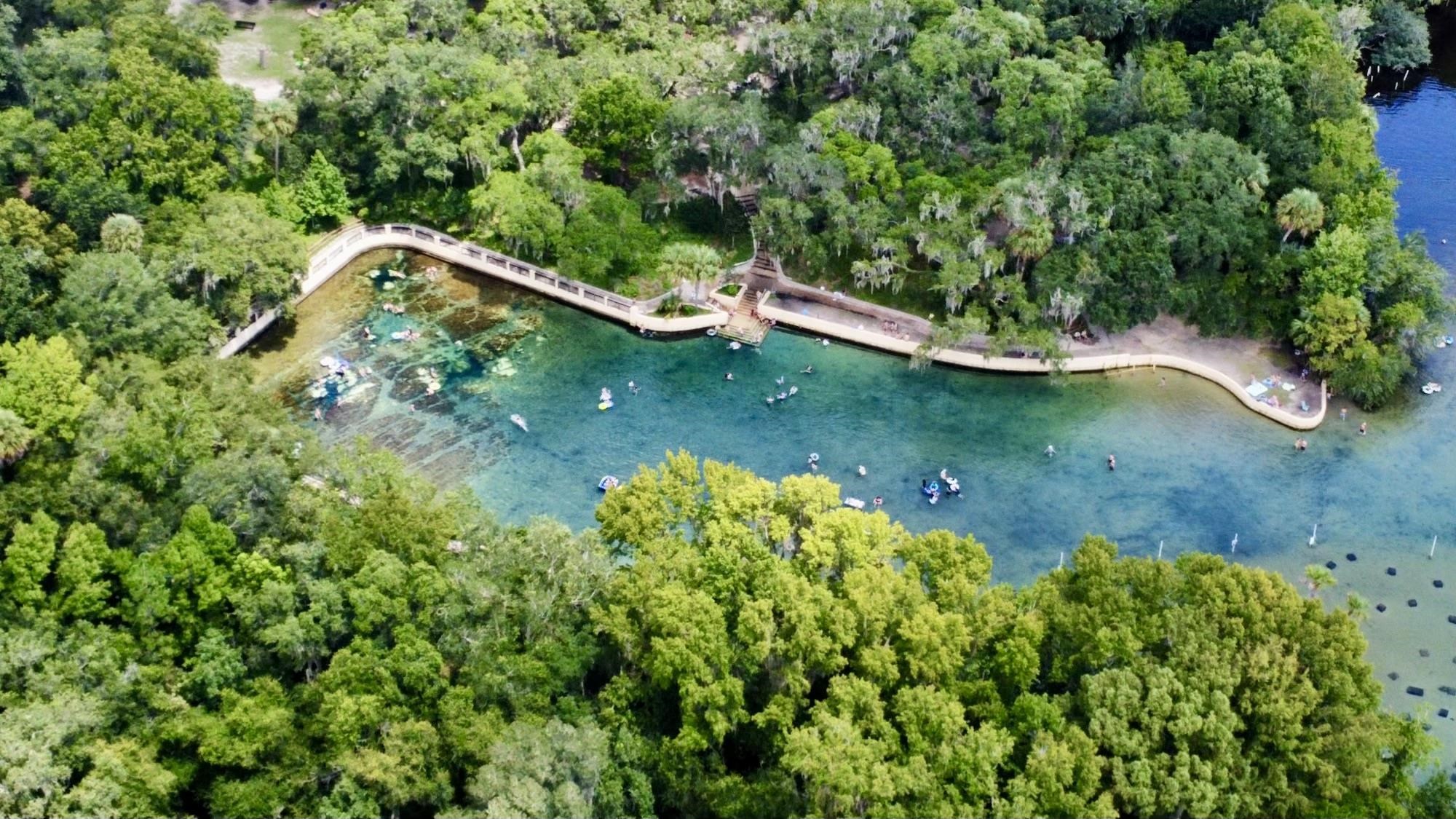 23670 Northeast 154th Place Road Salt Springs, FL 32134 - Photo 62 of 65 a view of a garden with a bench