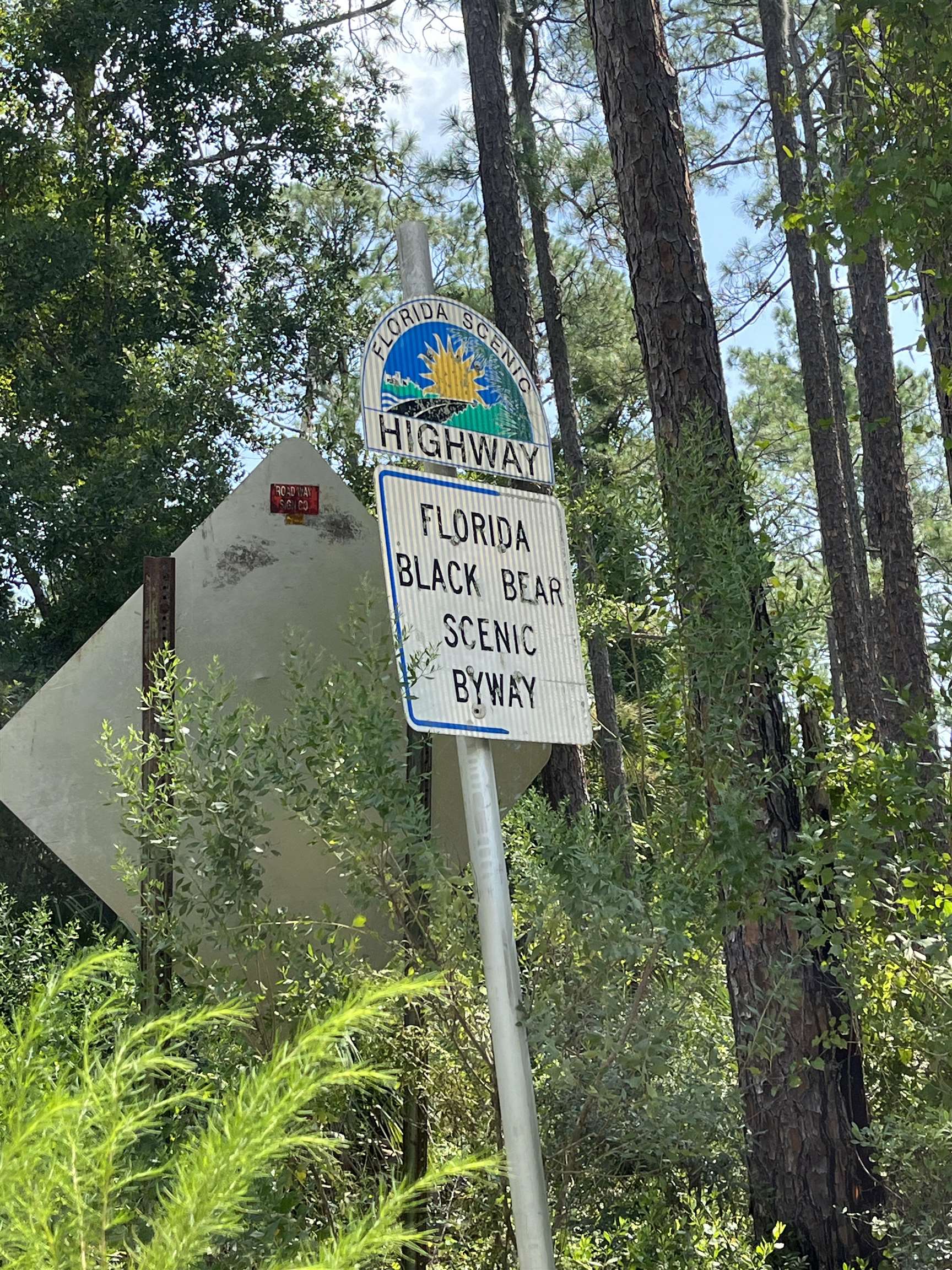 23670 Northeast 154th Place Road Salt Springs, FL 32134 - Photo 63 of 65 a sign broad on the side of the road