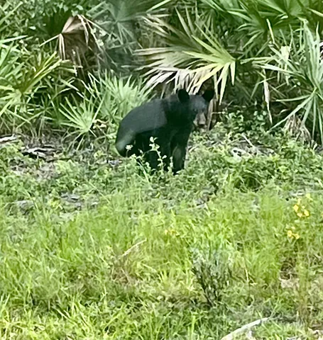 $210,000 | 23670 Northeast 154th Place Road, Salt Springs, FL 32134