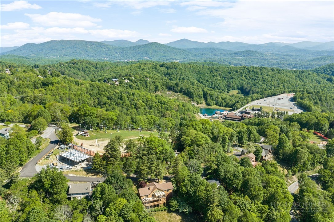 331 Alpine Road Blowing Rock, NC 28605 - Photo 49 of 50 a view of a lush green field with mountains in the background