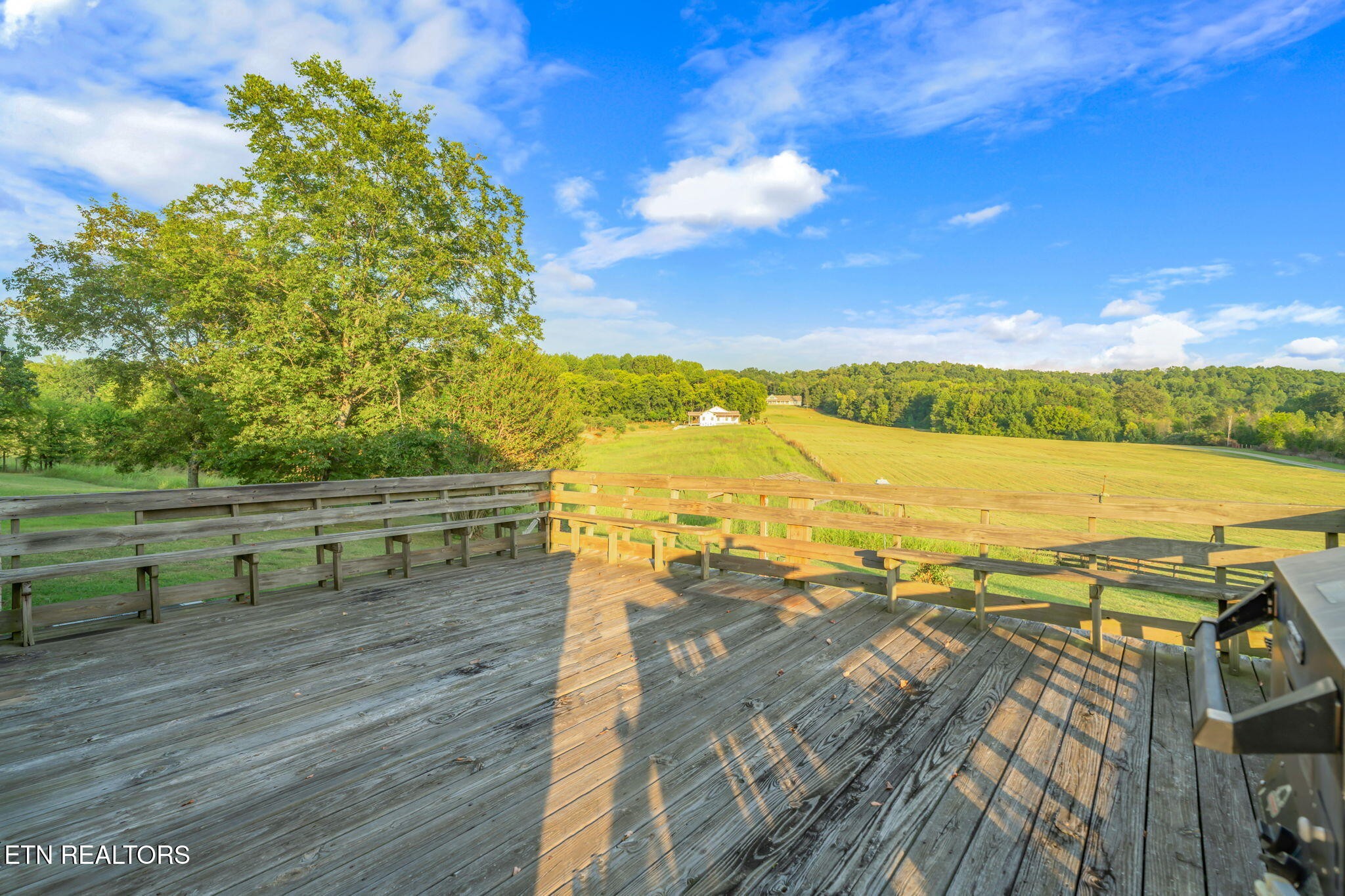 119 County Road 686 Riceville, TN 37370 - Photo 34 of 58 Gallery Image 34