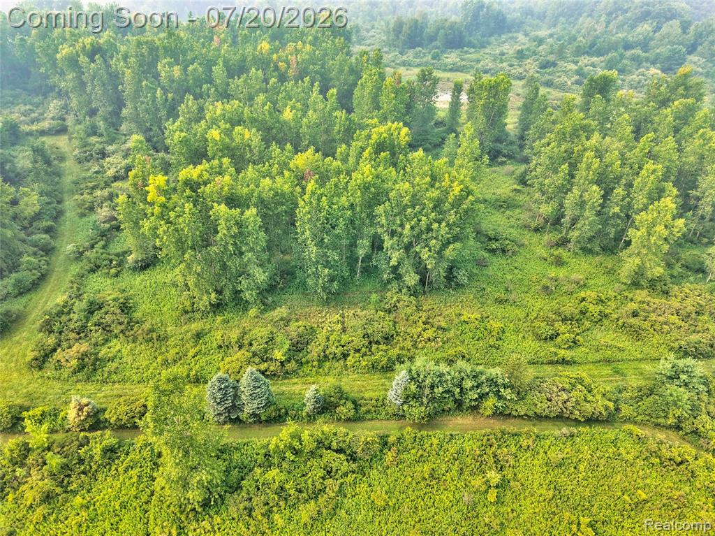 6280 Smith Road Linden, MI 48451 - Photo 91 of 92 Gallery Image 91