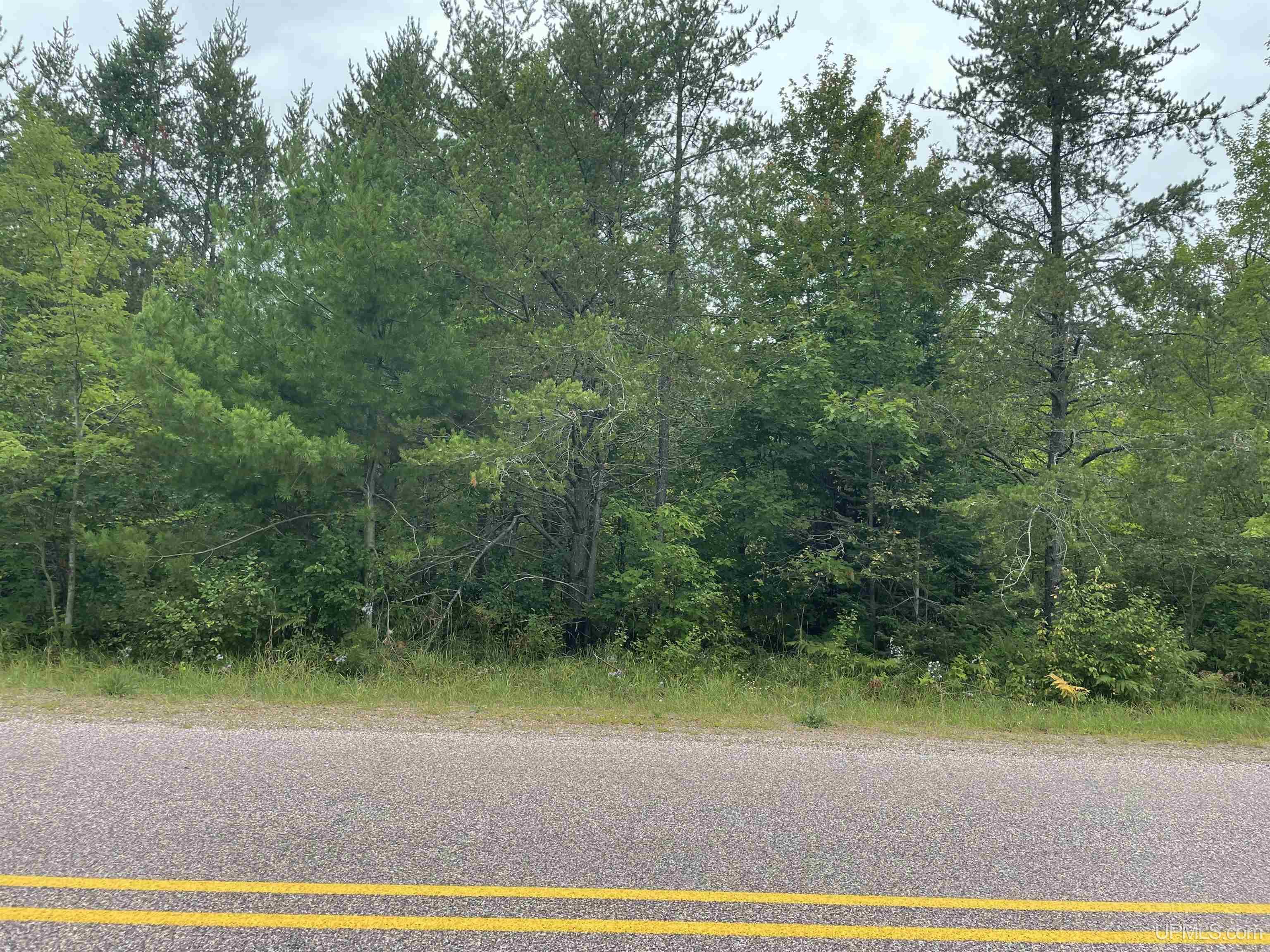 456 North Rd Little Lake Little Lake, MI 49833 - Photo 18 of 29